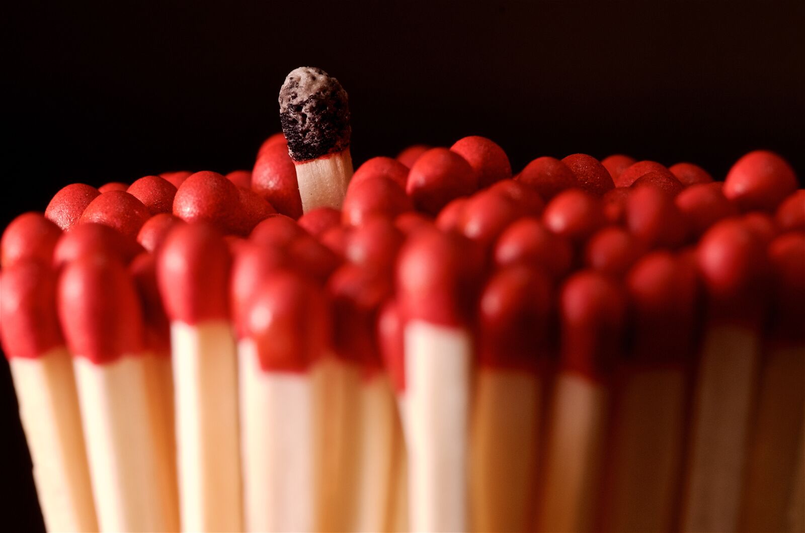 Pentax K-5 sample photo. Match, fire, stick photography