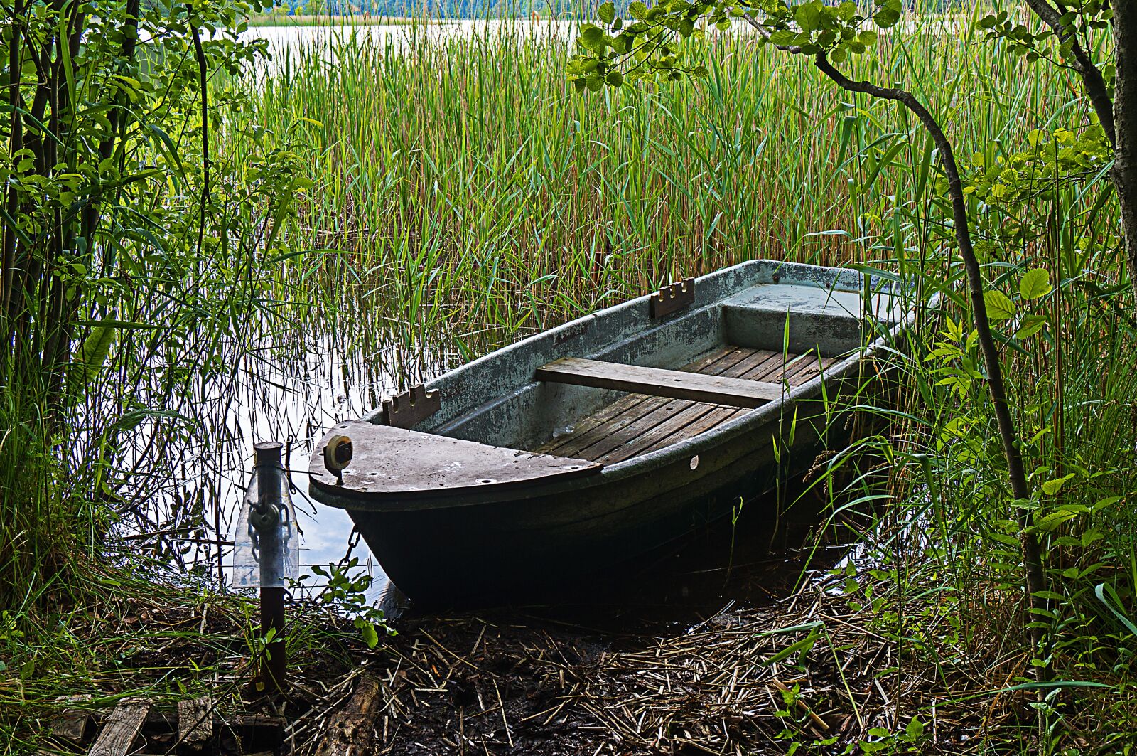 Sony Alpha NEX-3N sample photo. Boat, plant, lake photography