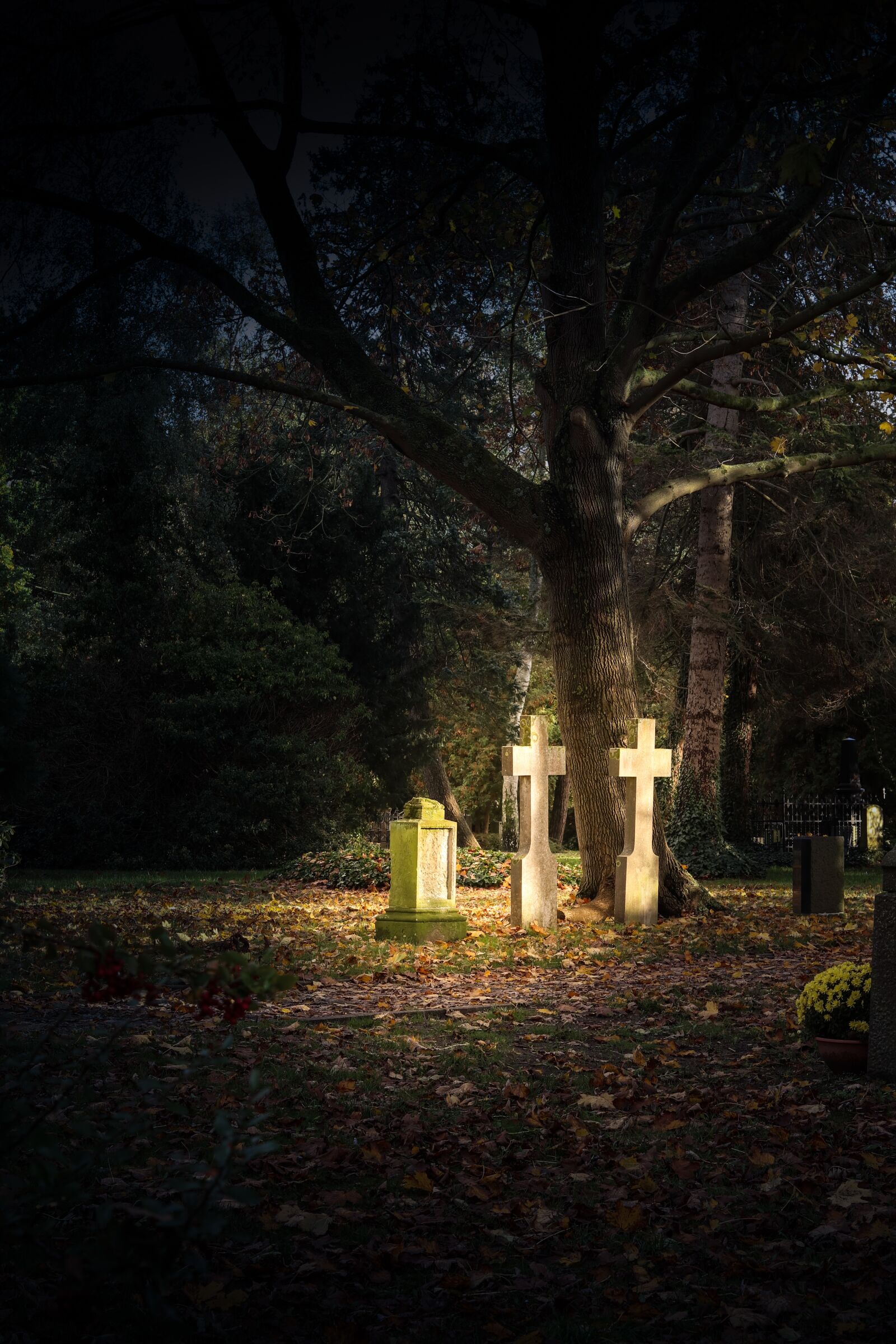 Canon EOS M100 + Canon EF 50mm F1.8 STM sample photo. Cemetery, cross, grave photography