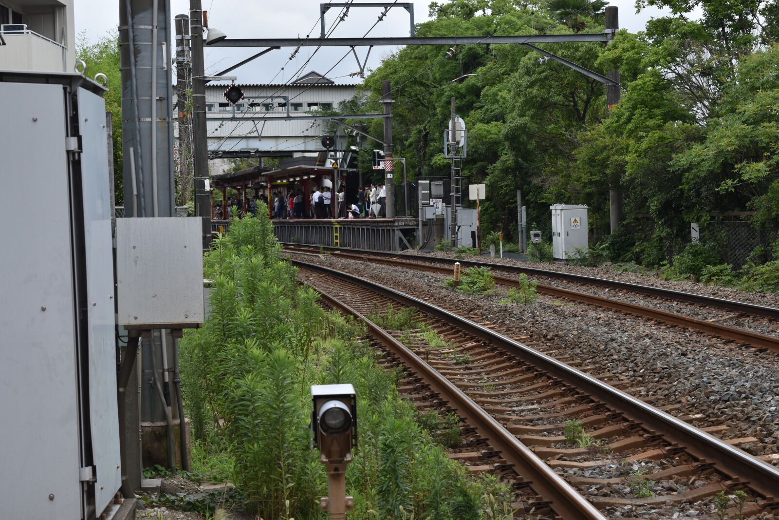 Nikon D5500 sample photo. Electric train, station, track photography