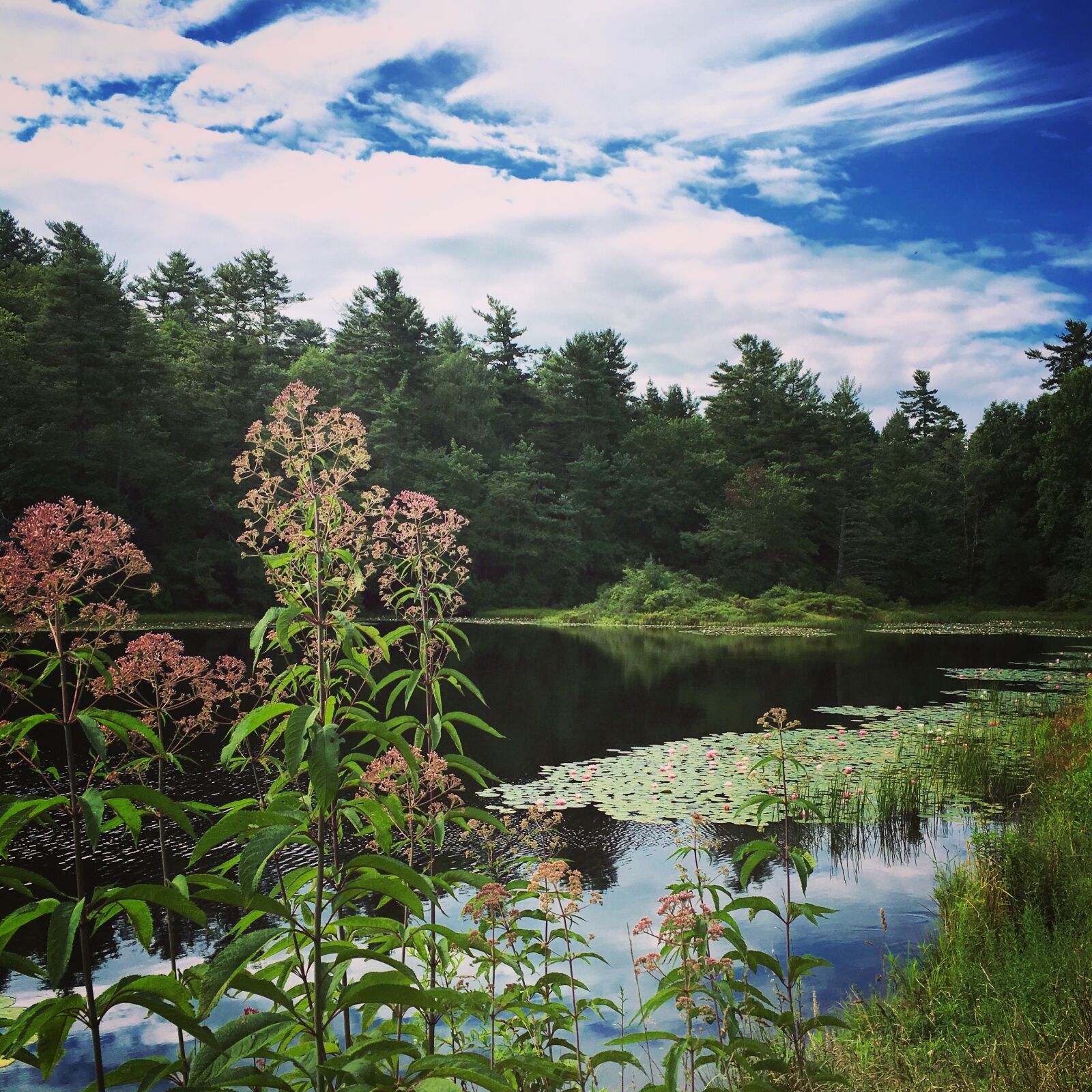 Apple iPhone 6s Plus sample photo. Landscape, nature, sky photography
