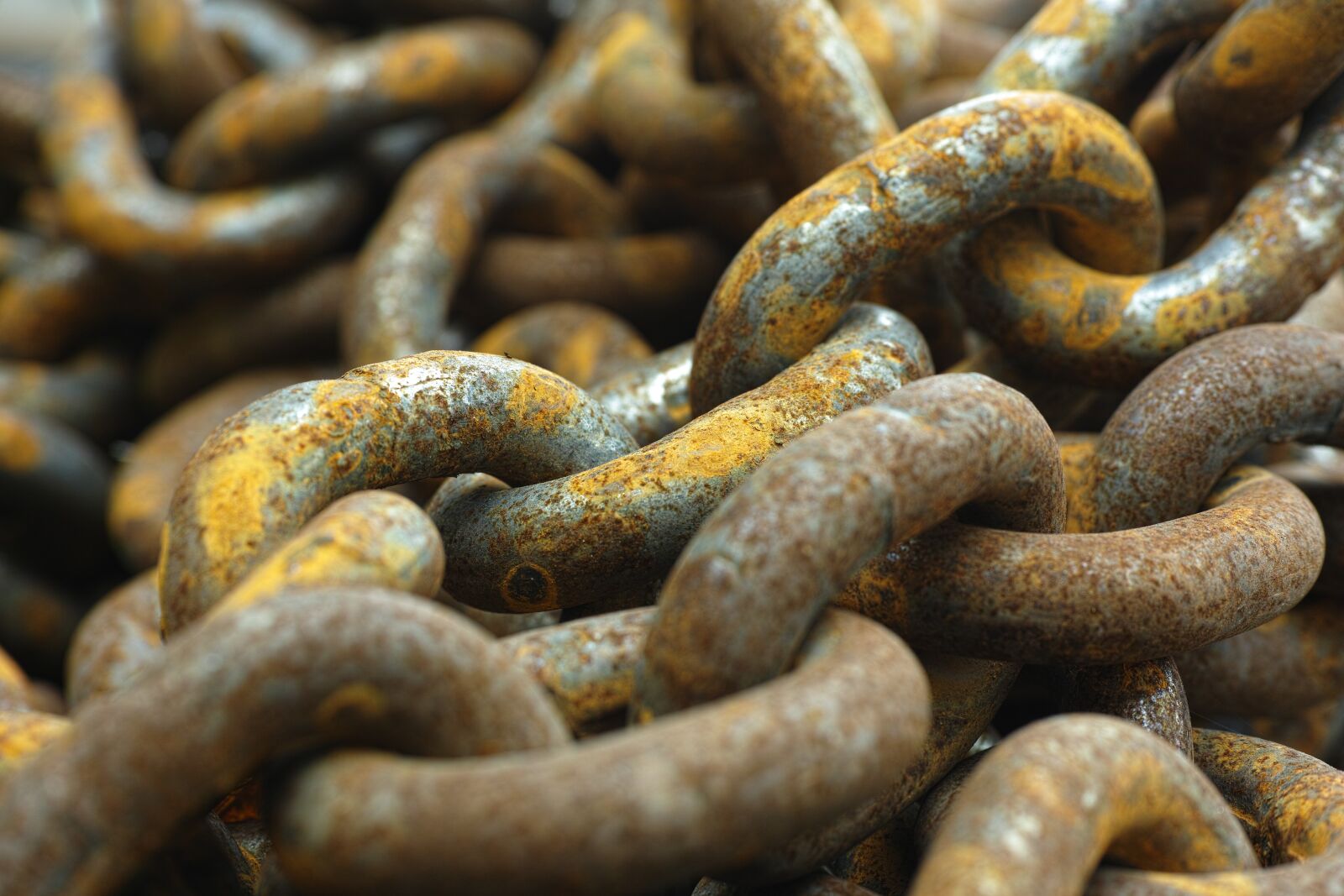 Sigma DP3 Merrill sample photo. Yellow, chain, daniel photography