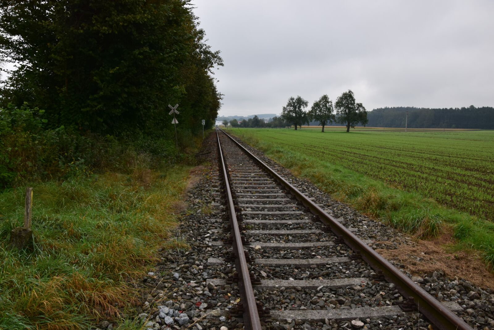 Nikon D5300 sample photo. Railway, rail, track photography