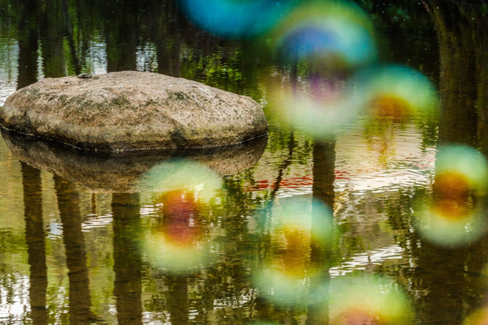 Canon EOS R sample photo. Soap bubble, nature, river photography