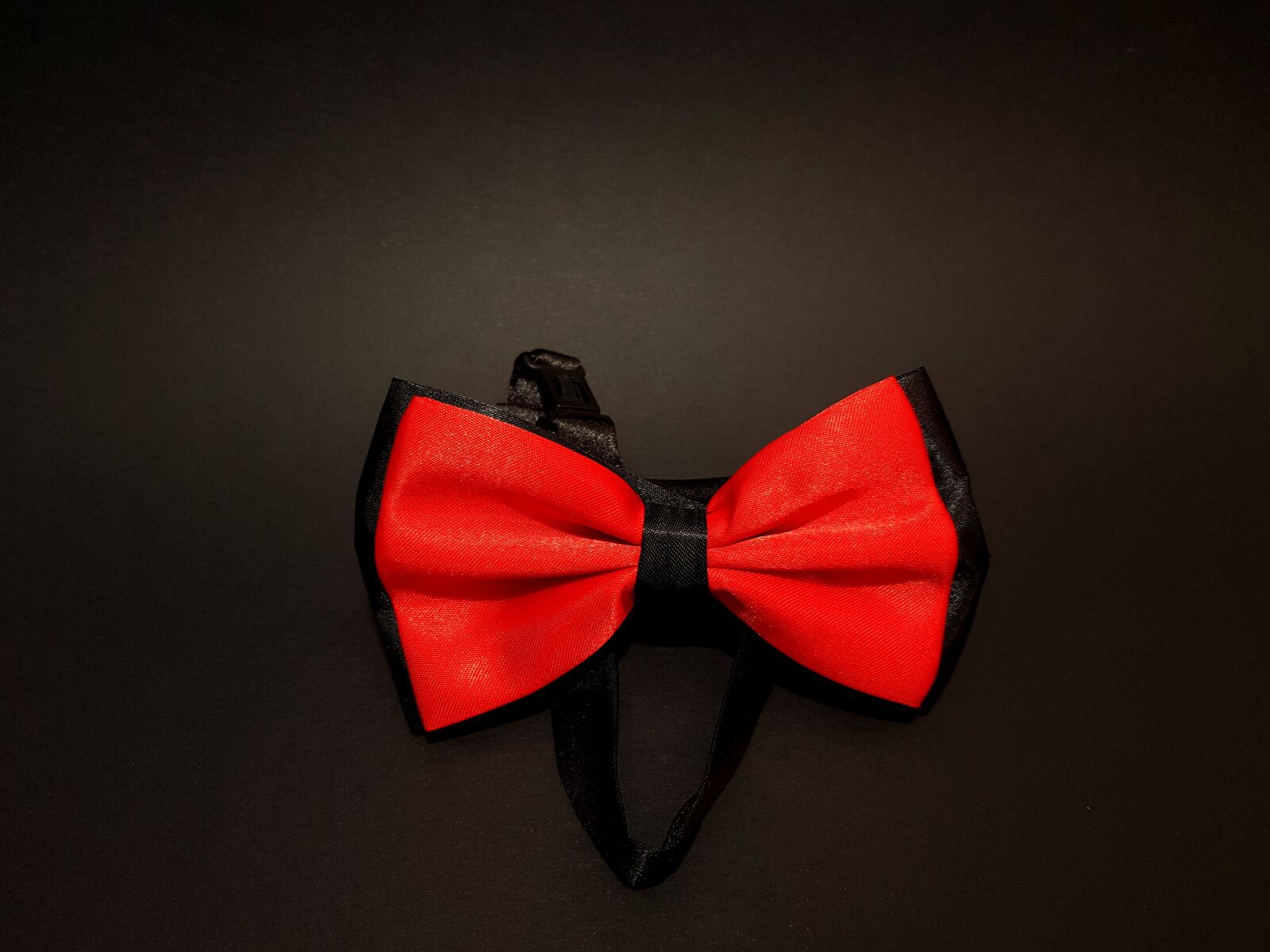 Samsung Galaxy S8 sample photo. Papillon, red, clothing photography