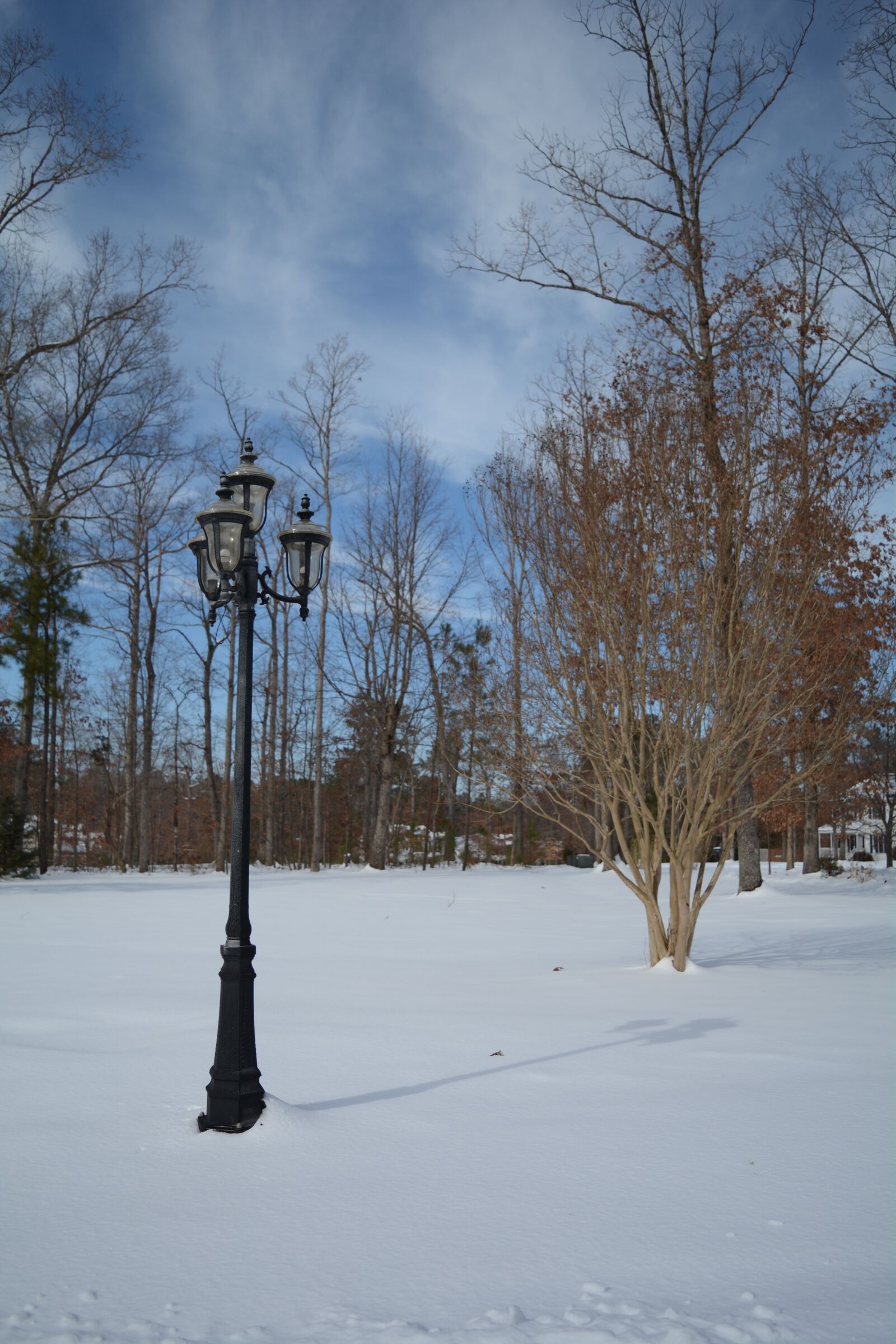 Nikon D7100 sample photo. Winter, snow, landscape photography