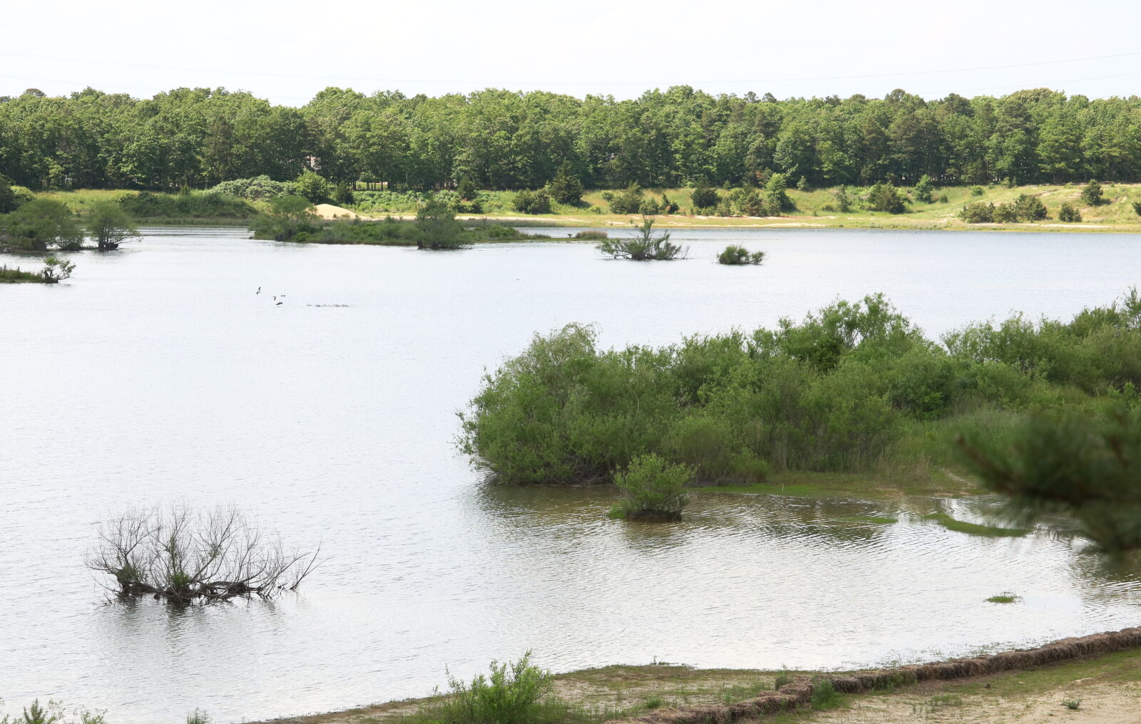 Canon EOS 760D (EOS Rebel T6s / EOS 8000D) sample photo. Lake, pit, water, wet photography