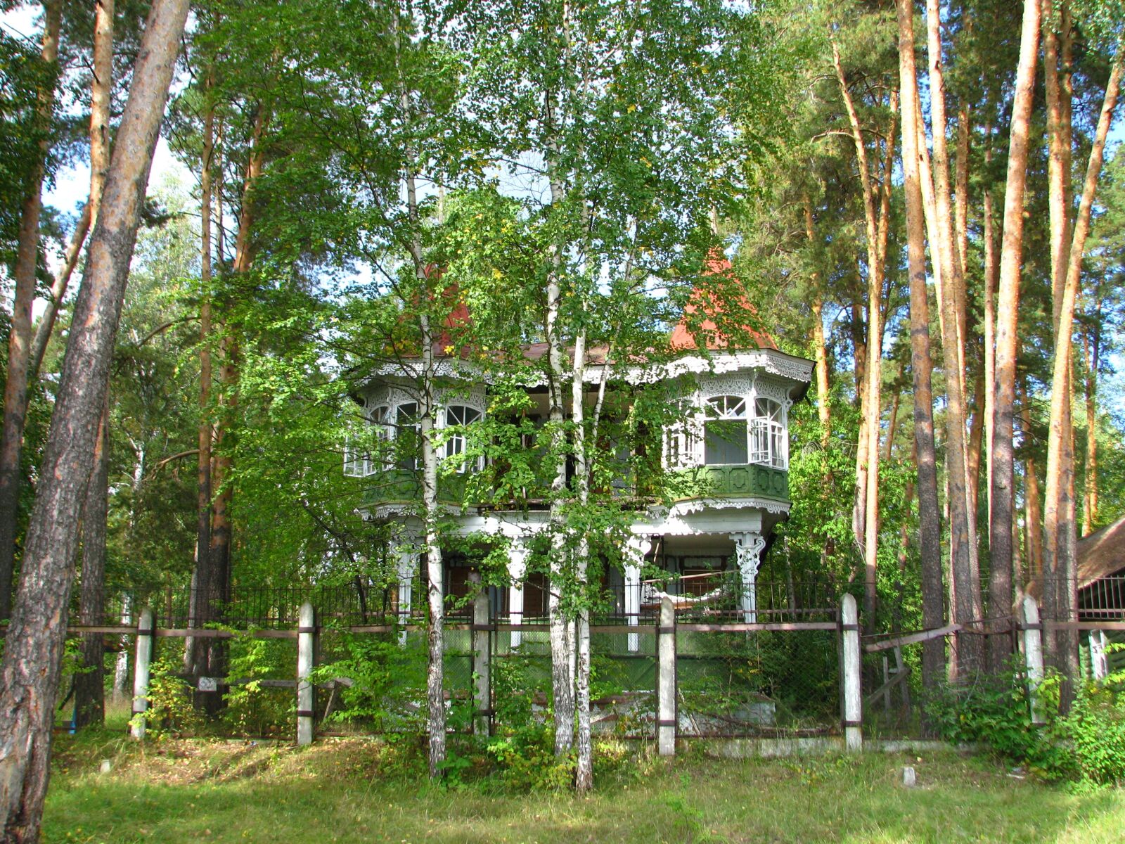 Canon POWERSHOT S5 IS sample photo. House, birch, pine photography