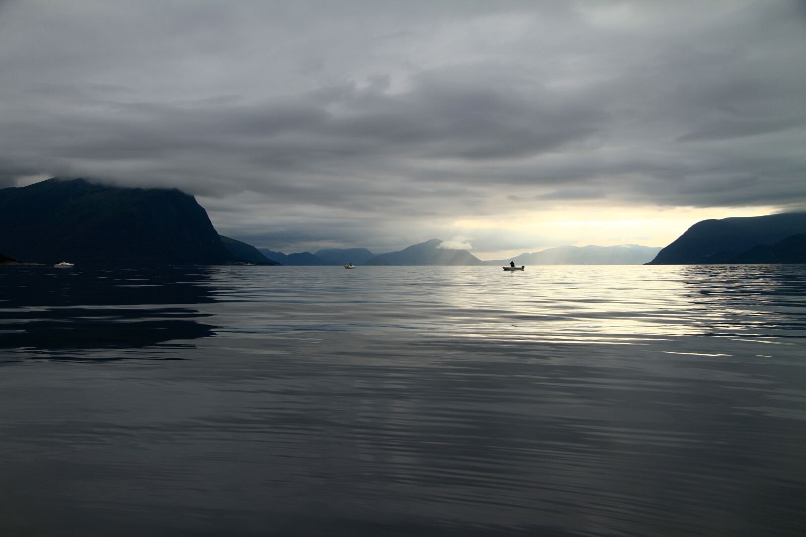 Canon EOS 7D sample photo. Sea, fish, norway photography
