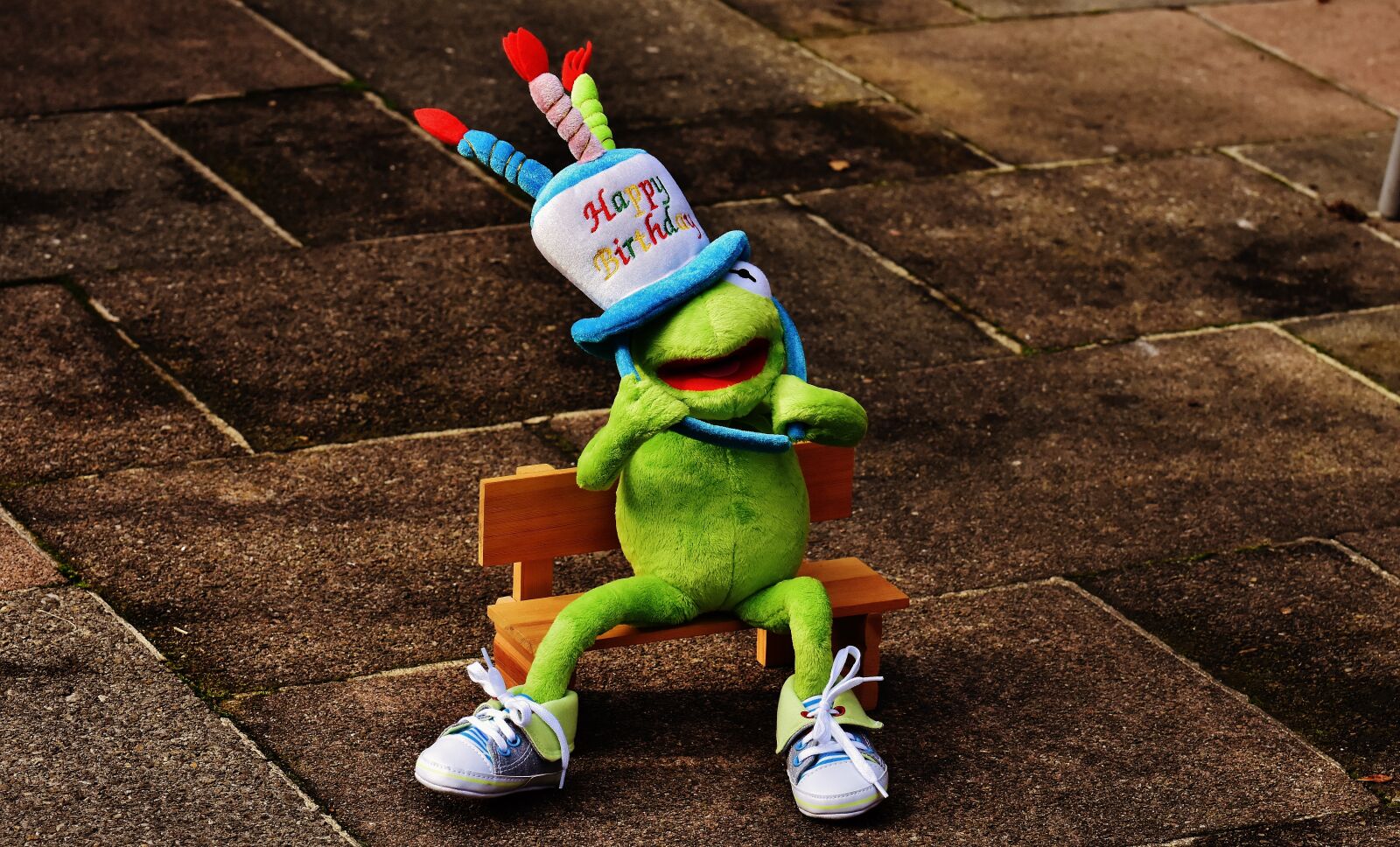 Nikon D7200 sample photo. Birthday, congratulations, kermit photography