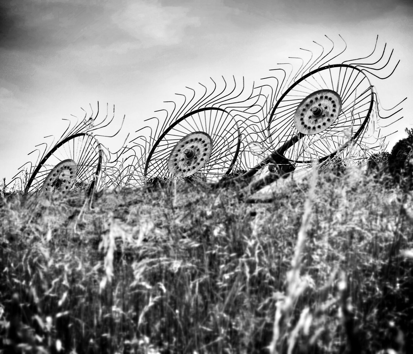 Fujifilm X30 sample photo. Hay, black and white photography
