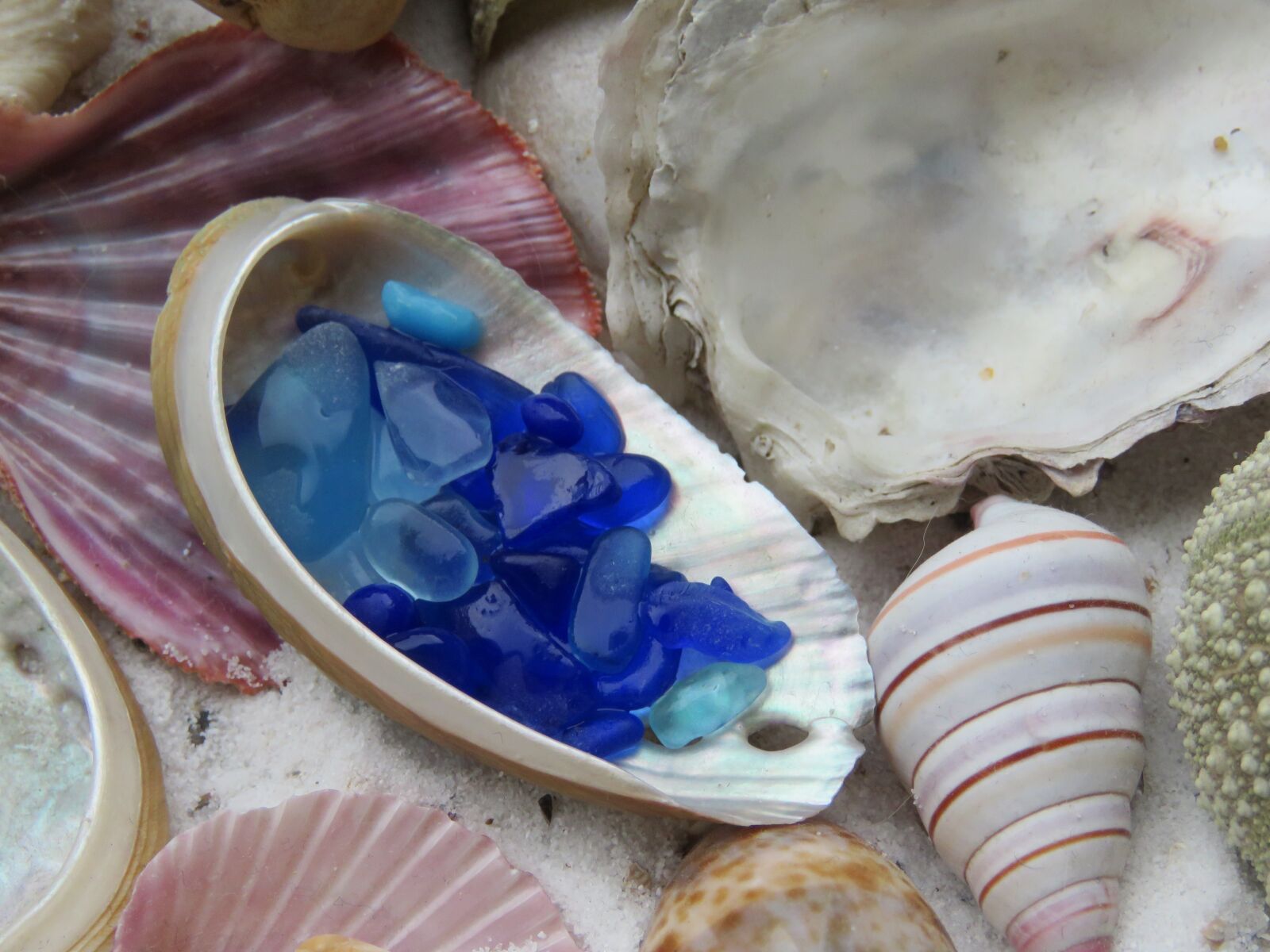 Canon PowerShot SX60 HS sample photo. Zeeglas, blue, shells photography
