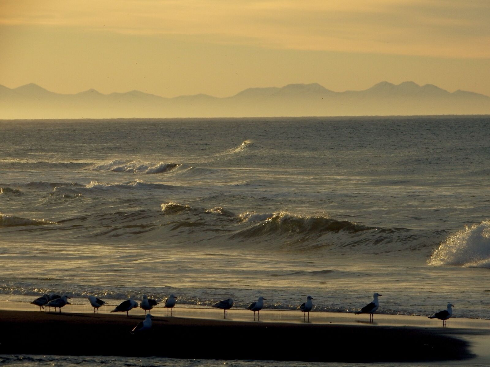 Fujifilm FinePix S1 sample photo. The pacific ocean, wave photography