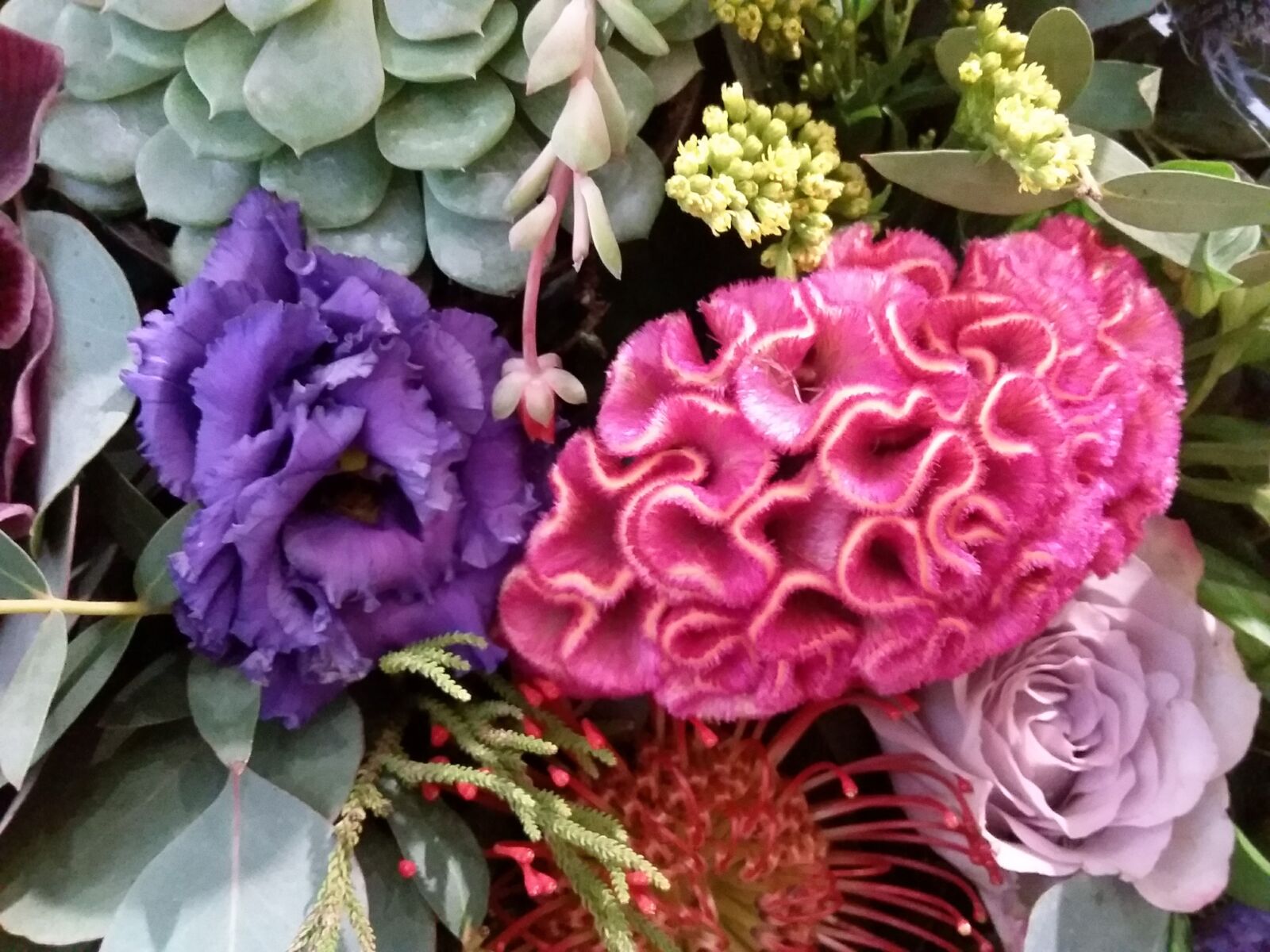 Samsung Galaxy J3(2016) sample photo
