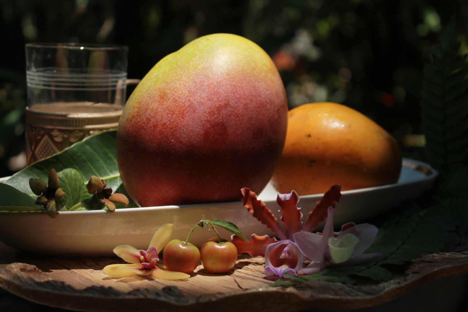 Canon EOS 1100D (EOS Rebel T3 / EOS Kiss X50) sample photo. Mango, orchid, flowers photography