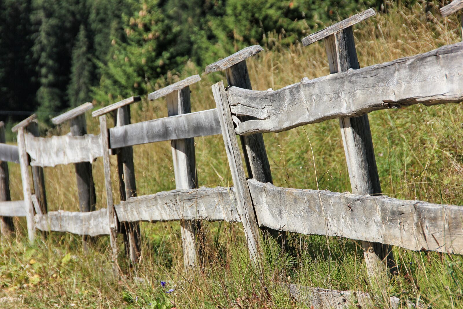 Canon EOS 550D (EOS Rebel T2i / EOS Kiss X4) sample photo. Wood, fence, nature photography
