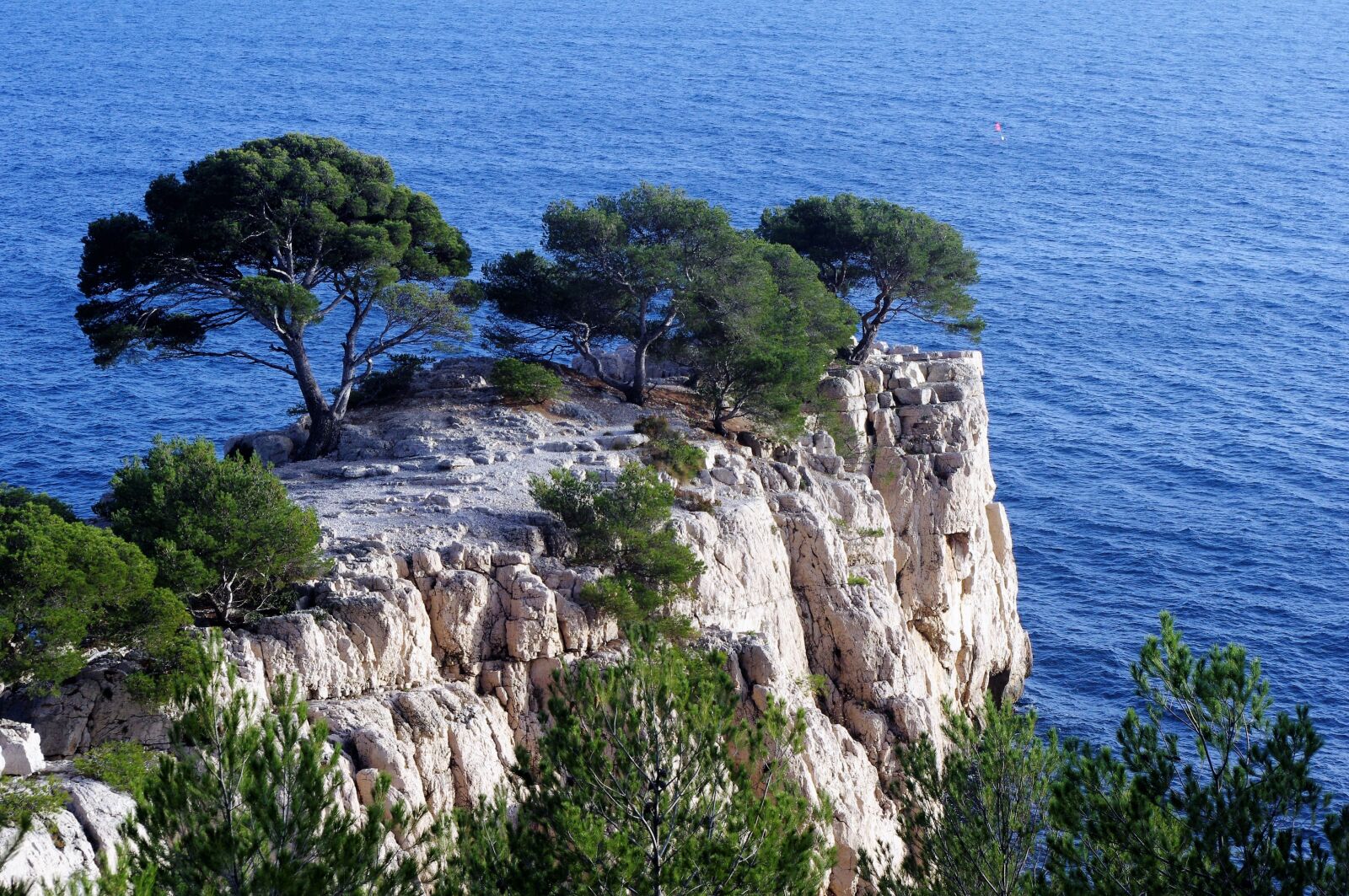Pentax K-x sample photo. Creeks, pine, sea photography