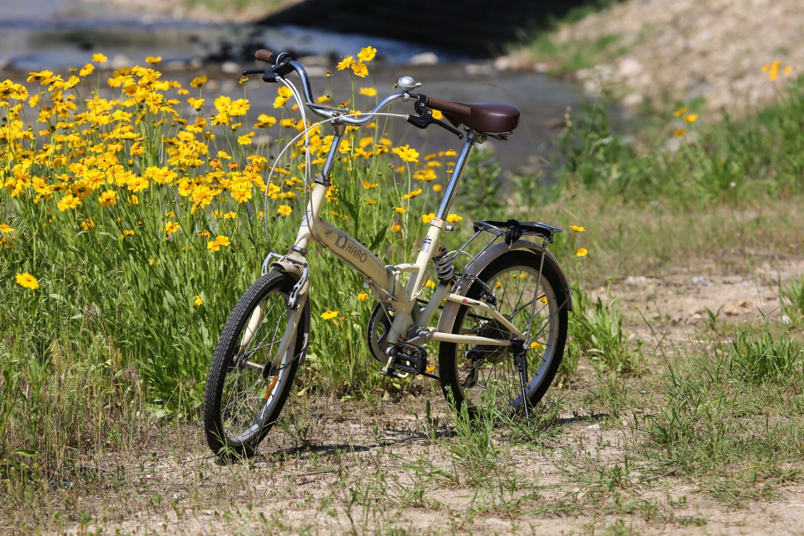 Canon EF 100-400mm F4.5-5.6L IS USM sample photo. Bike, flower road, nature photography