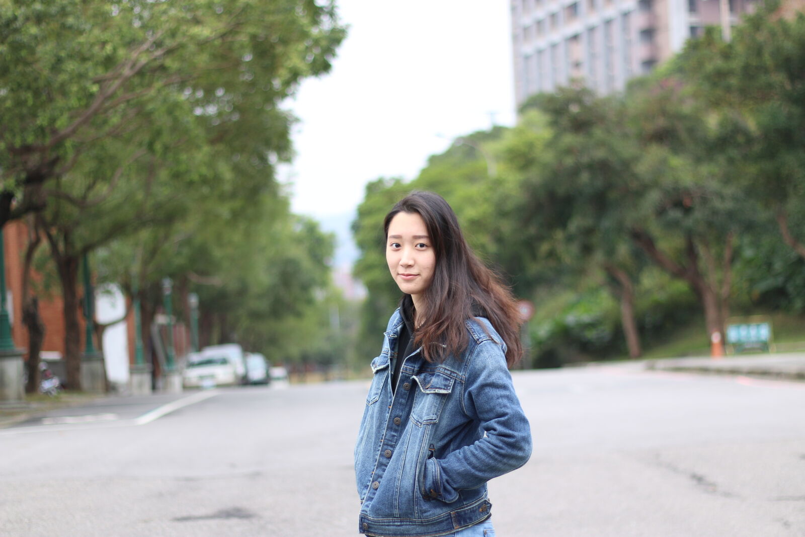 Canon EOS 70D + Canon EF 50mm F1.8 II sample photo
