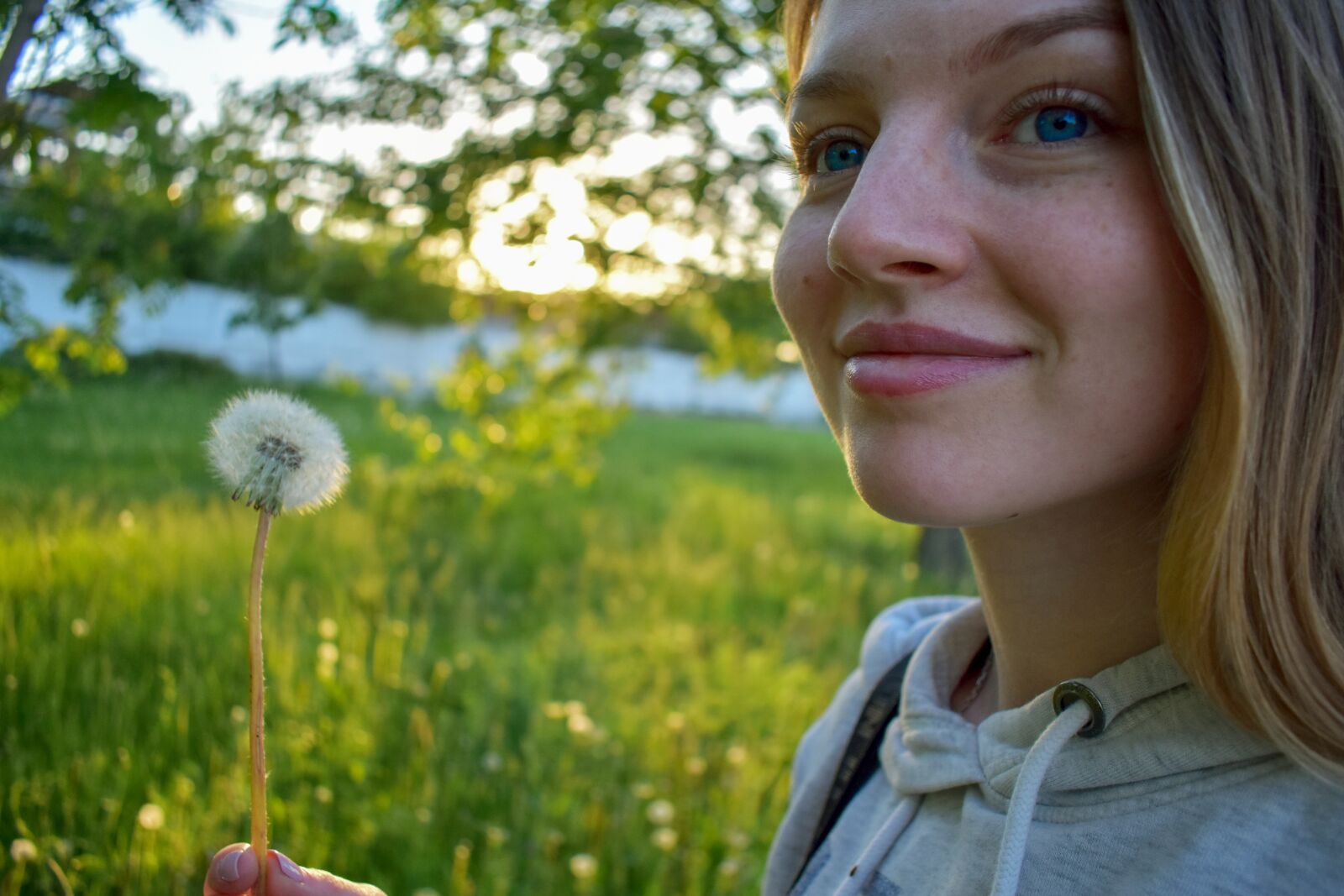 Nikon D3400 sample photo. Dandelion, girl, beautiful photography