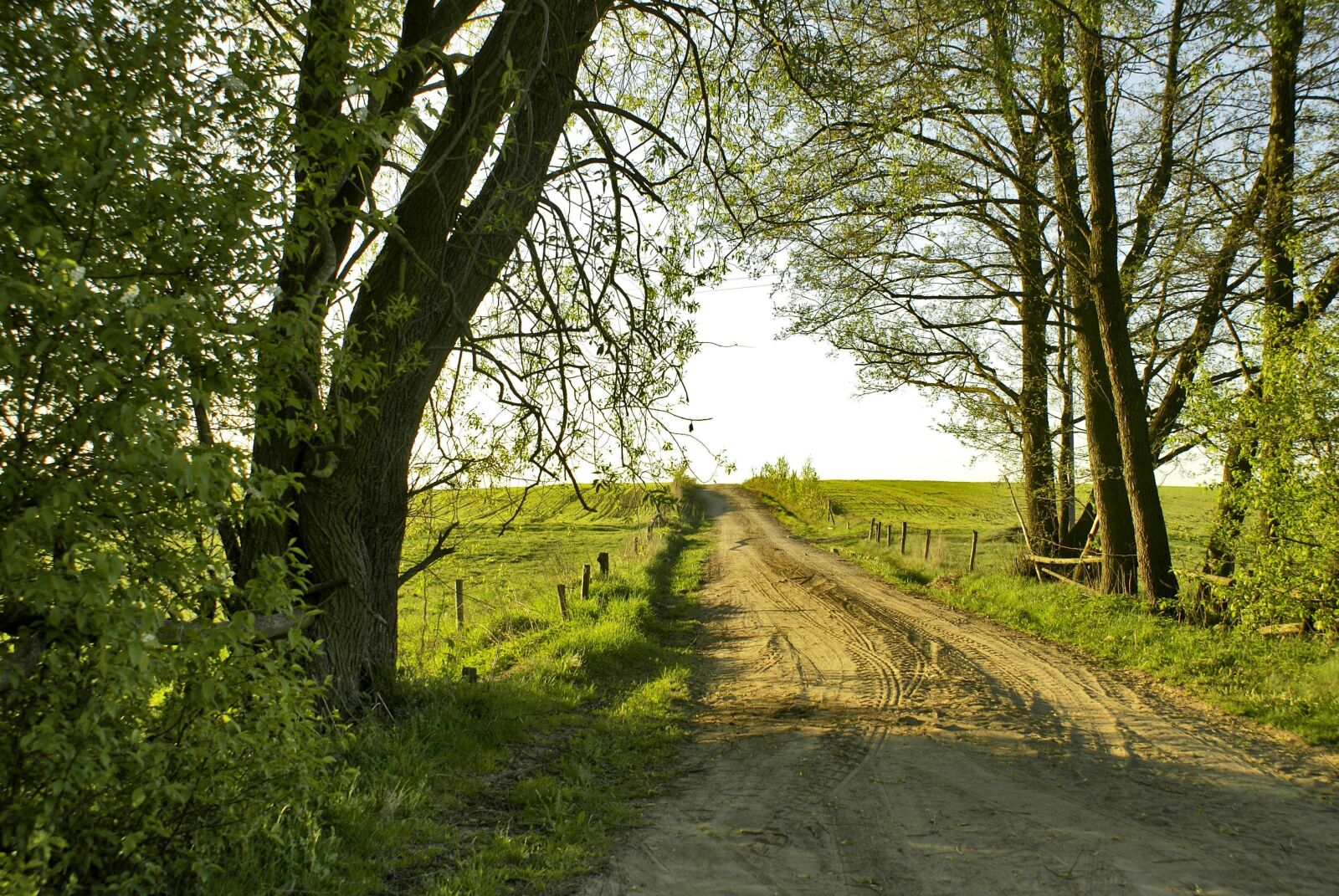 Sony Alpha DSLR-A100 sample photo. Way, fields, peace of photography