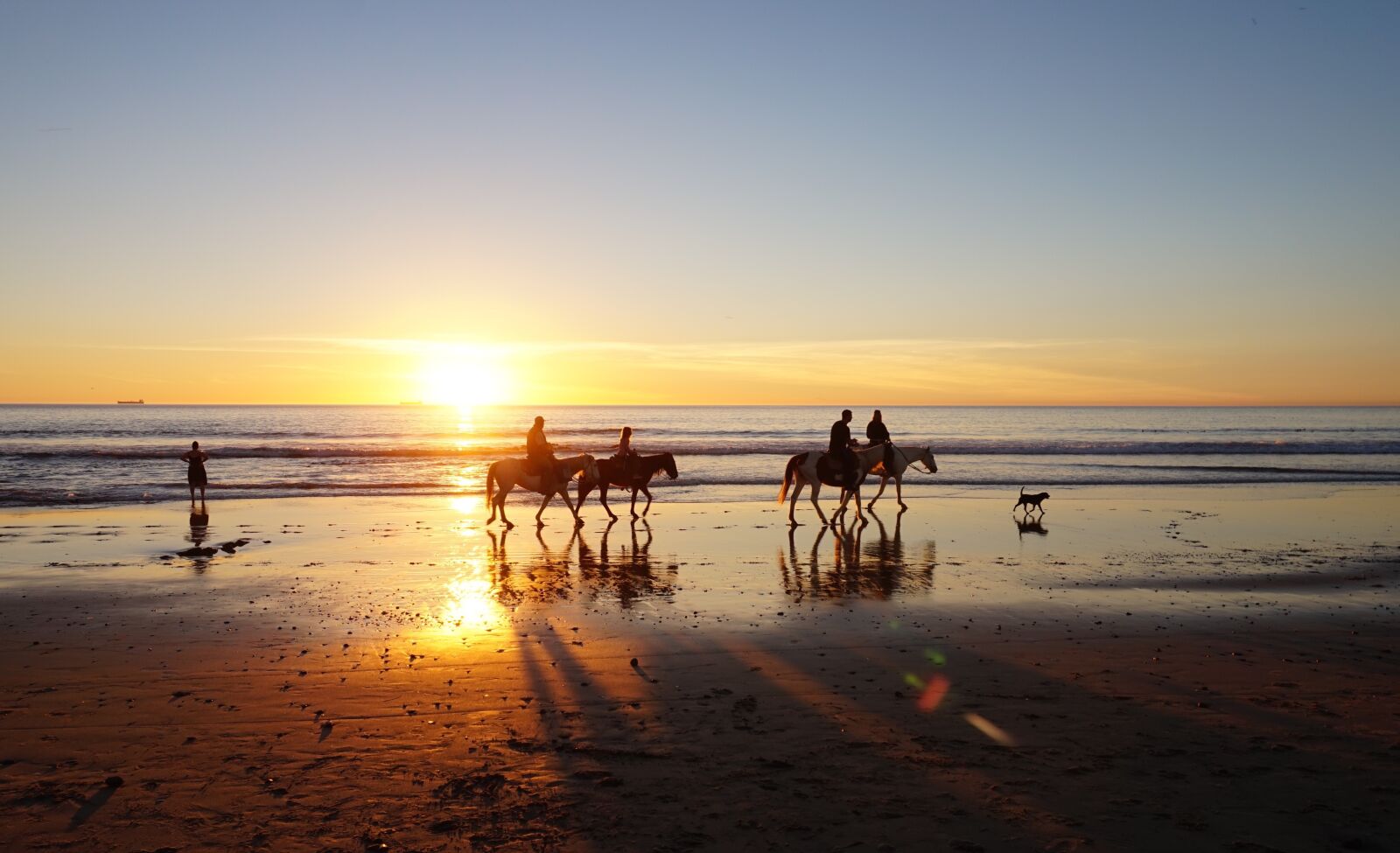 Sony Alpha a5000 (ILCE 5000) sample photo. Beach, horses on beach photography
