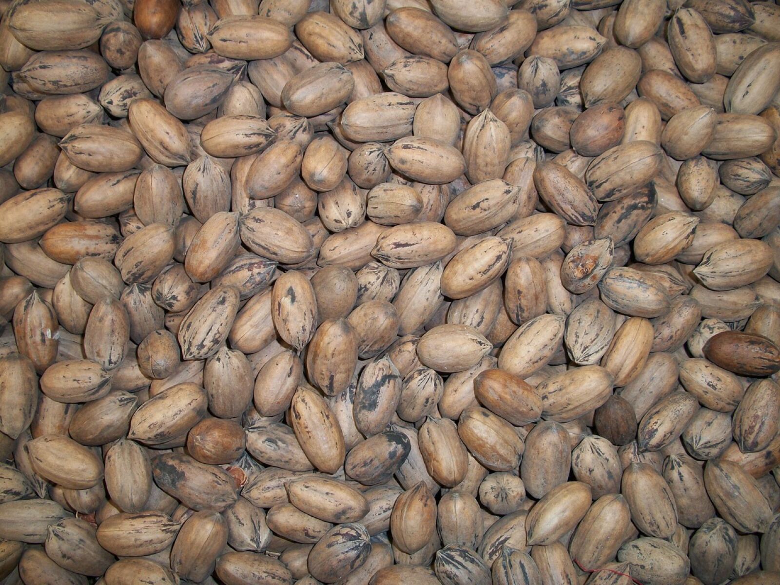 Kodak EASYSHARE M340 DIGITAL CAMERA sample photo. Nuts, brown, snack photography