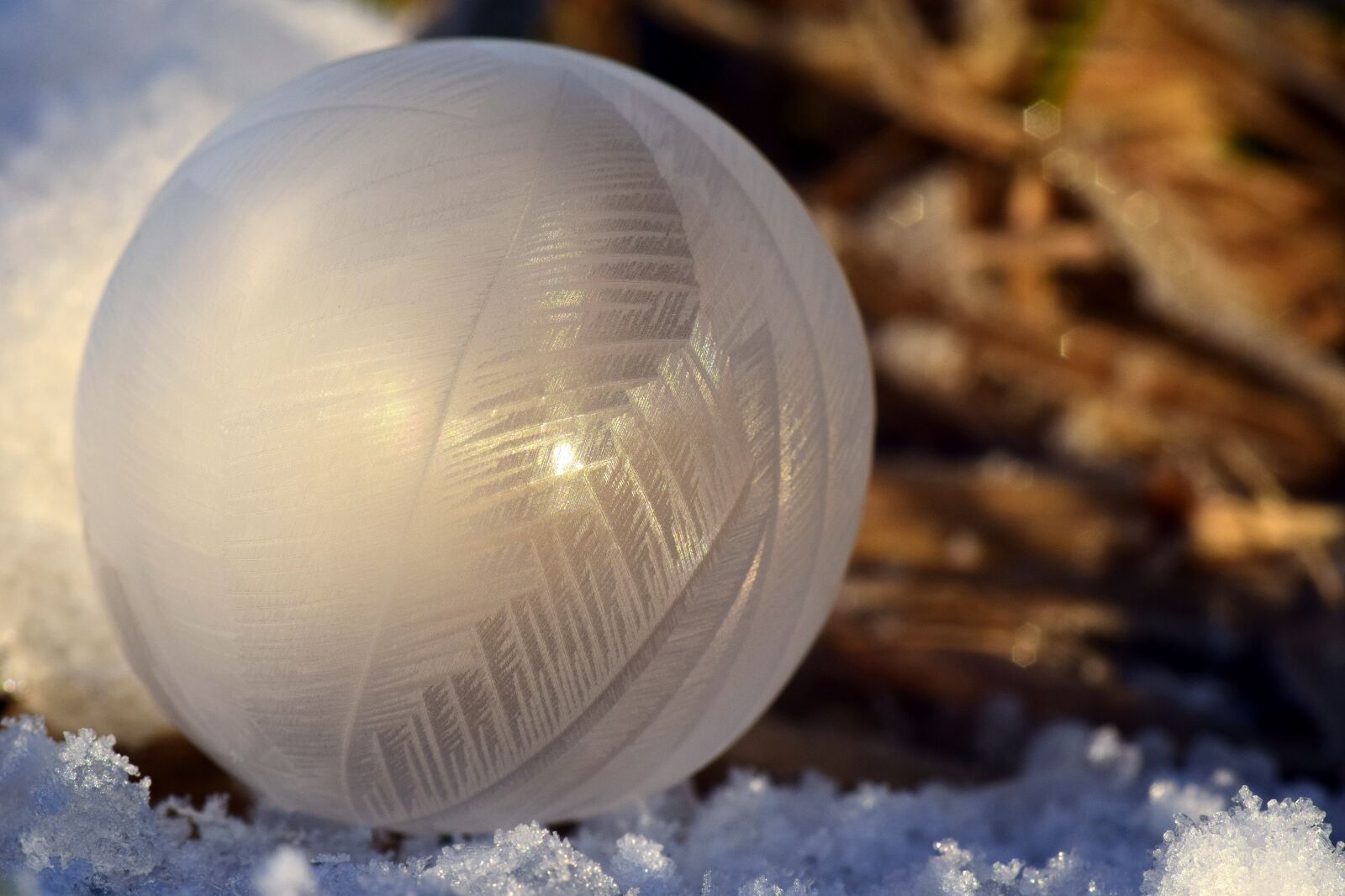 Nikon D3300 sample photo. Ball, frozen, frosted photography