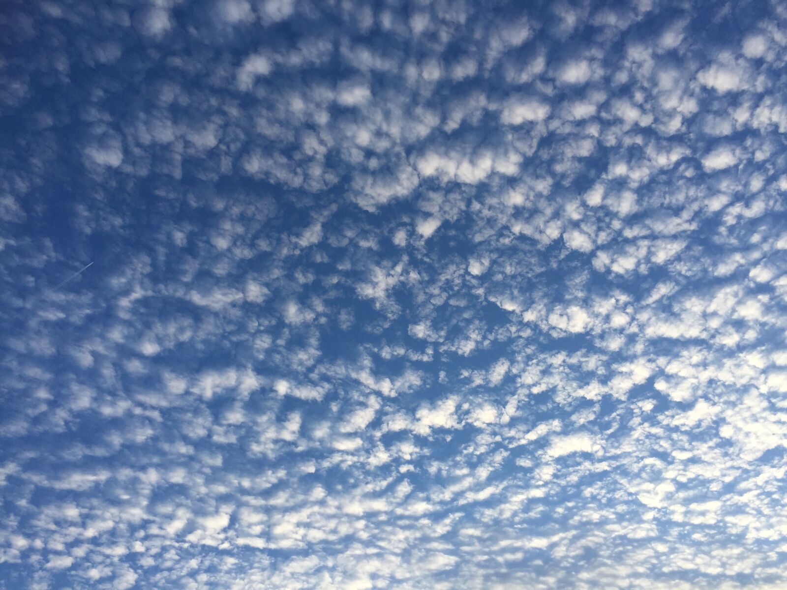 iPhone 6 Plus back camera 4.15mm f/2.2 sample photo. Cloud, calm, sky photography