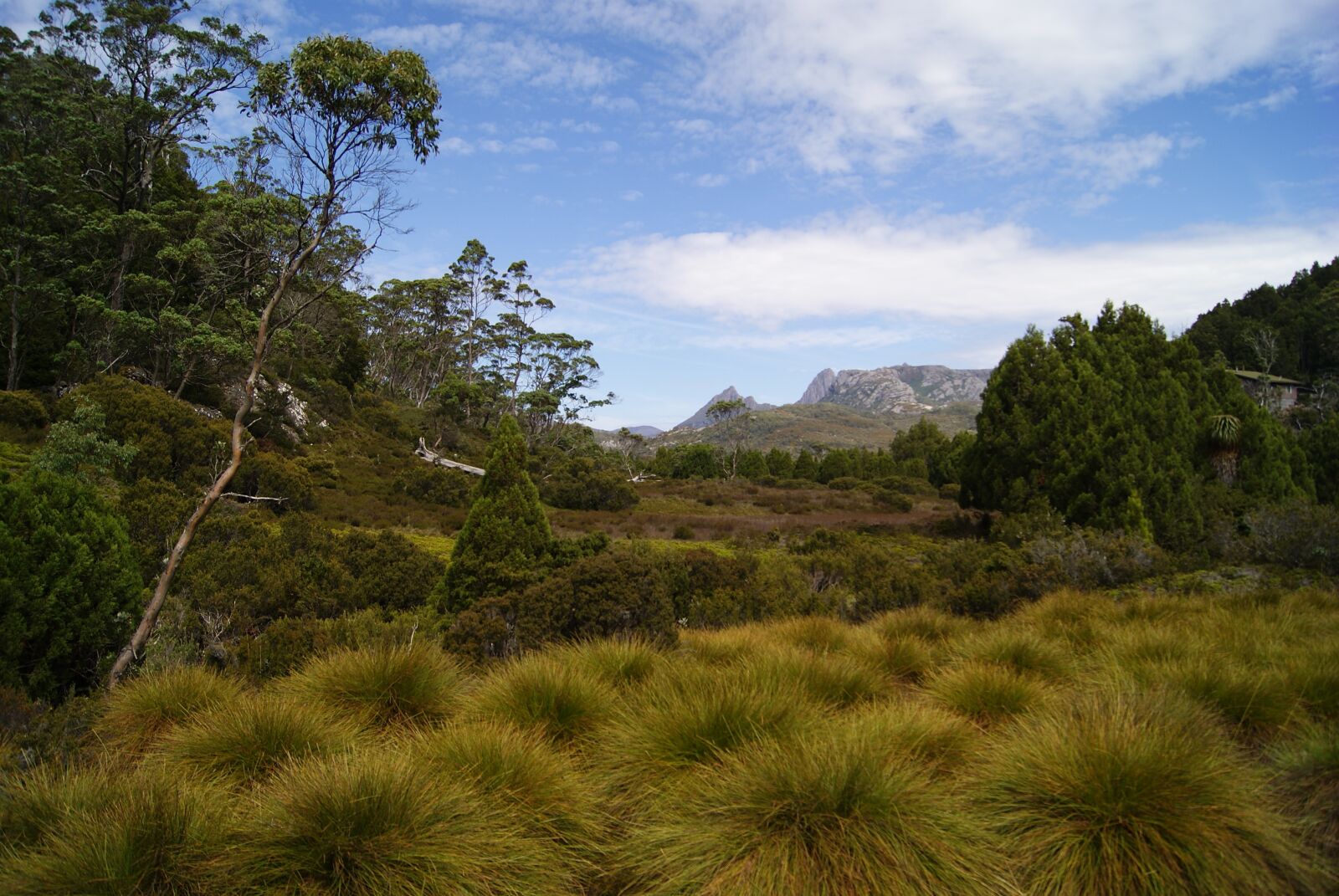 Sony Alpha DSLR-A230 sample photo. Cradle mountain, tasmania, national photography