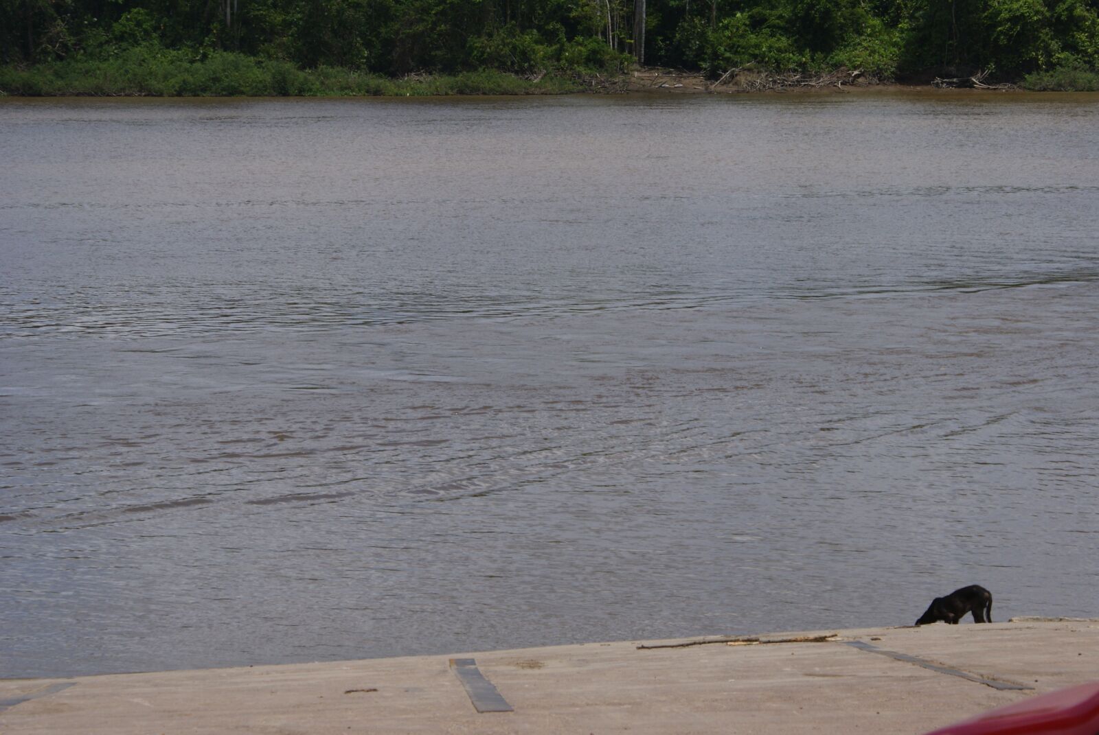 Sony Alpha DSLR-A300 sample photo. Amapá, ferry, trip photography