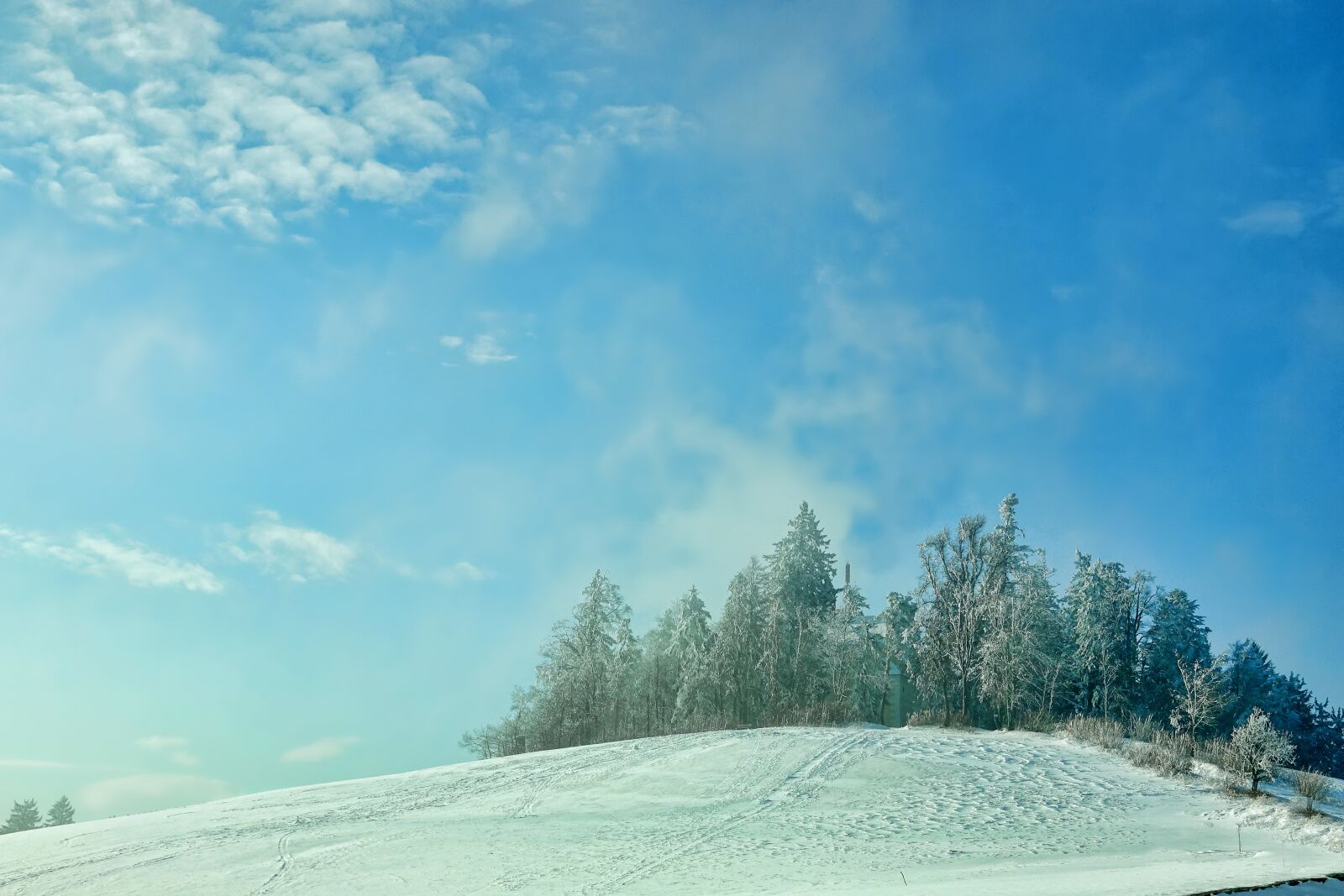 Sony Cyber-shot DSC-RX10 III sample photo. Snow, winter, nature photography