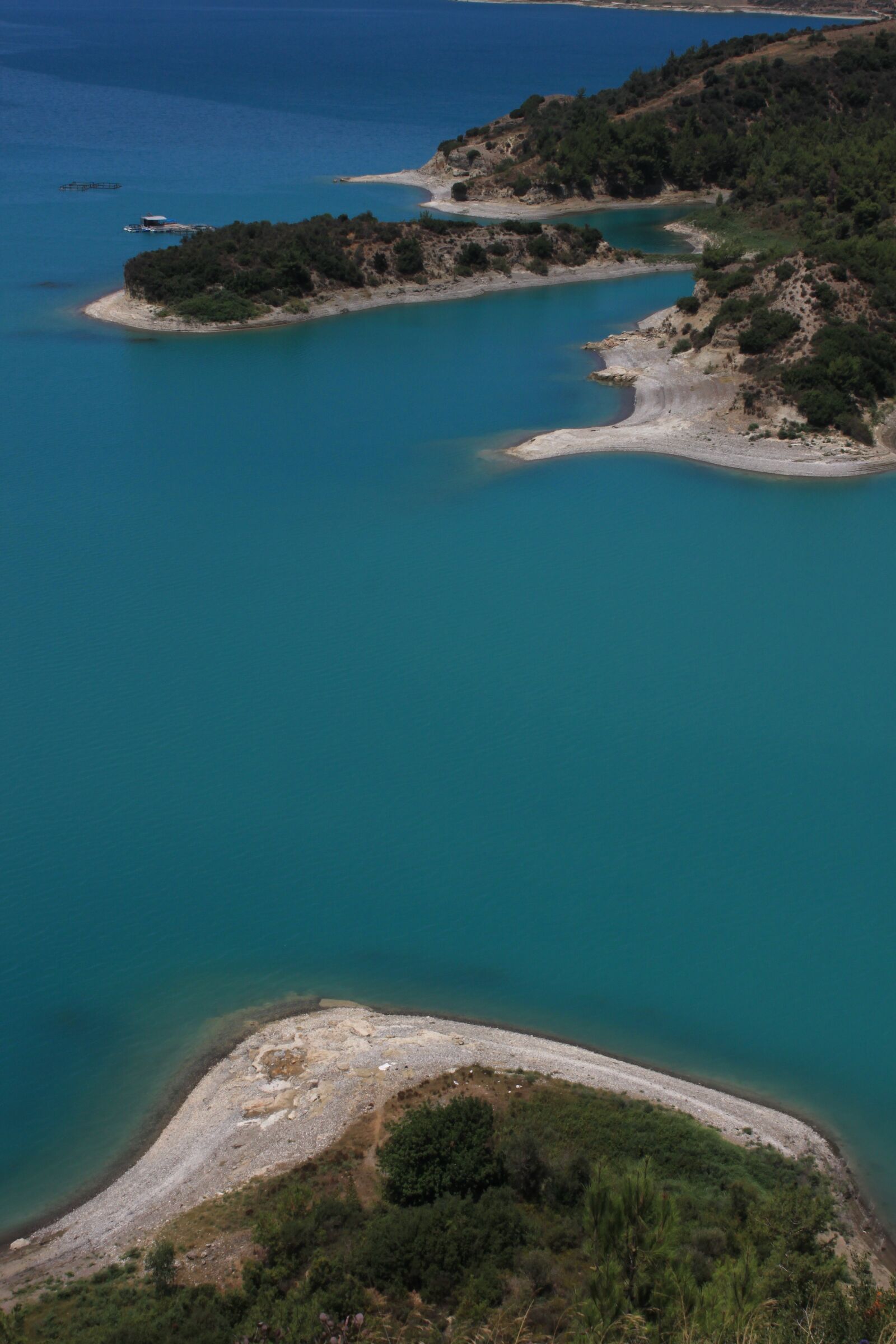 Canon EOS 500D (EOS Rebel T1i / EOS Kiss X3) sample photo. Lake, dam, tree photography