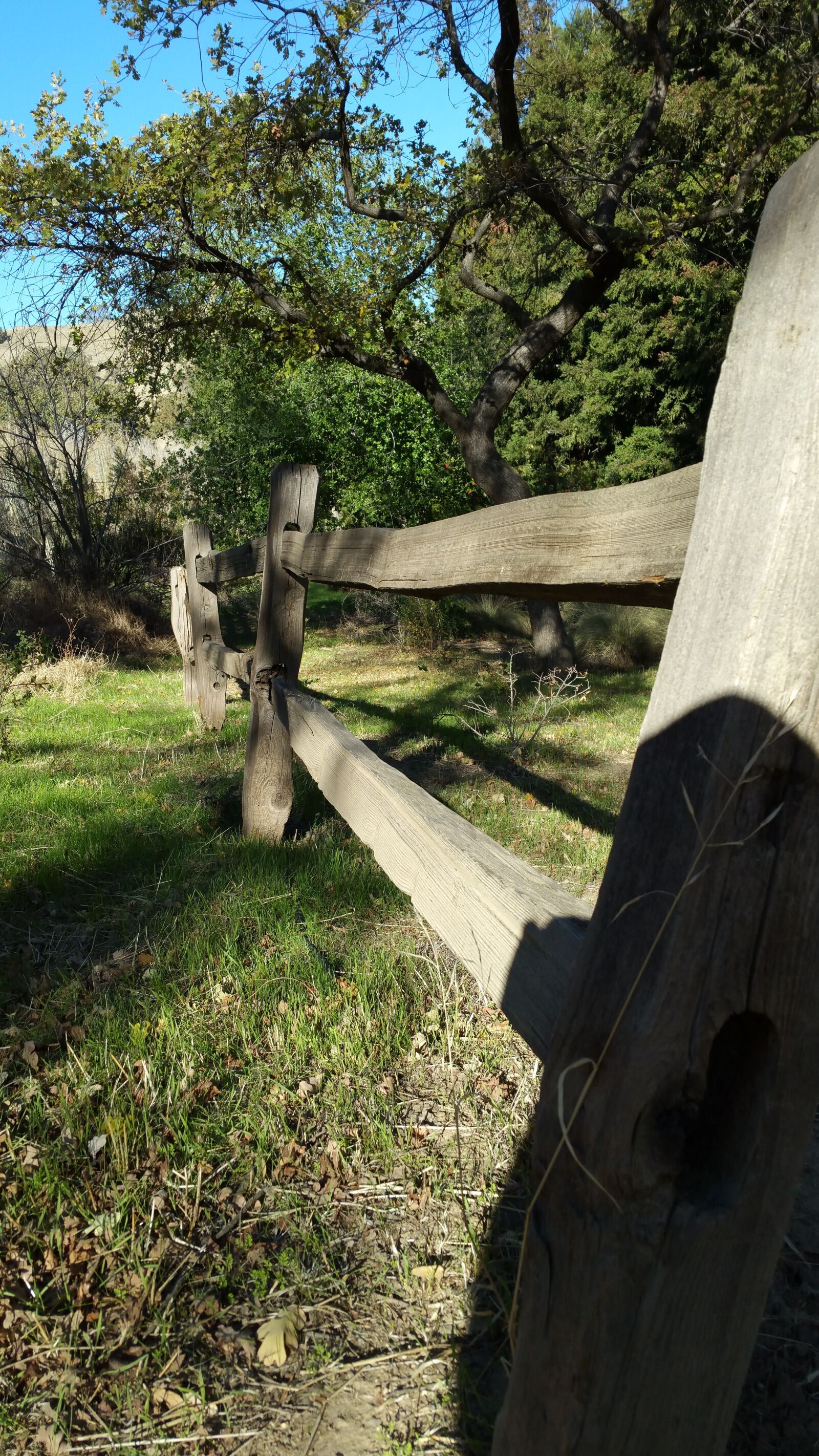 Samsung Galaxy Note4 sample photo. Fence, grass, trees photography
