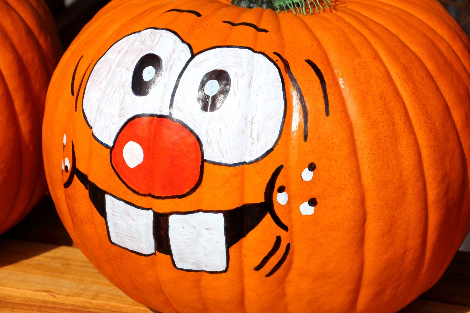 Canon EOS 700D (EOS Rebel T5i / EOS Kiss X7i) sample photo. Pumpkin, thanksgiving, autumn photography