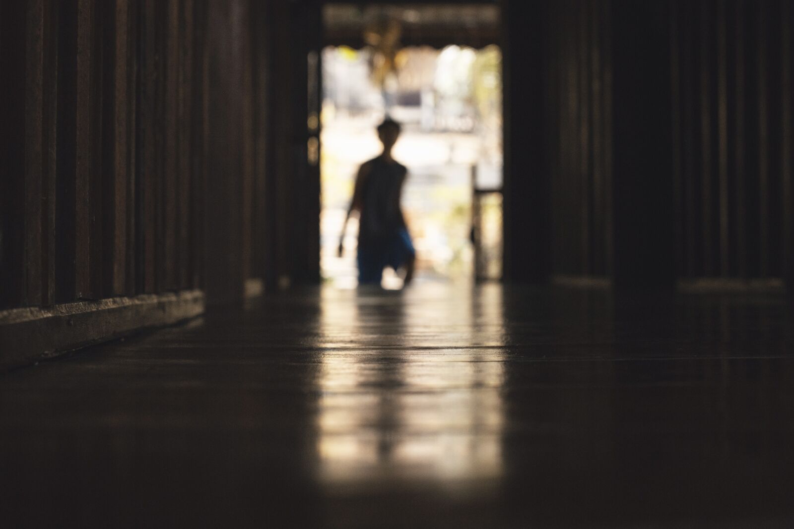 Canon EOS 6D + Canon EF 50mm F1.4 USM sample photo. Person, silhouette, door photography