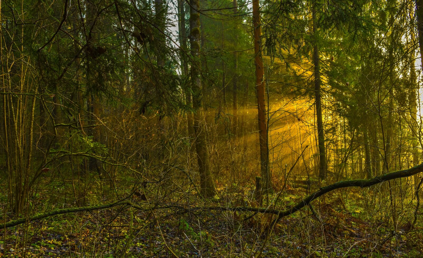 Nikon D5500 sample photo. Landscape, nature, sunset photography