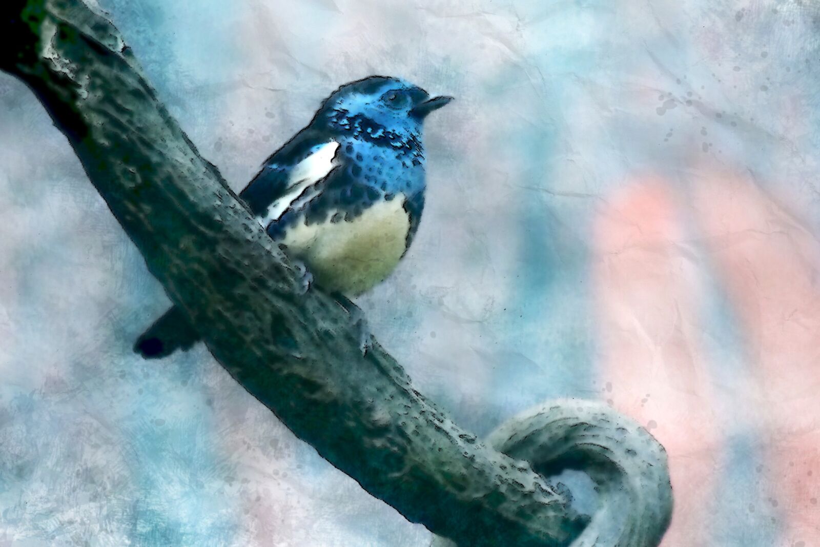 Olympus OM-D E-M1 sample photo. Small blue bird, perch photography
