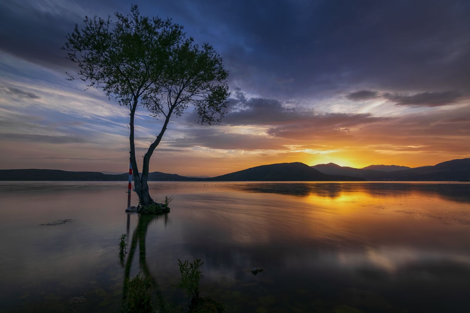 Nikon D5300 + Tokina AT-X Pro 11-16mm F2.8 DX II sample photo. Tree, lake, landscape photography