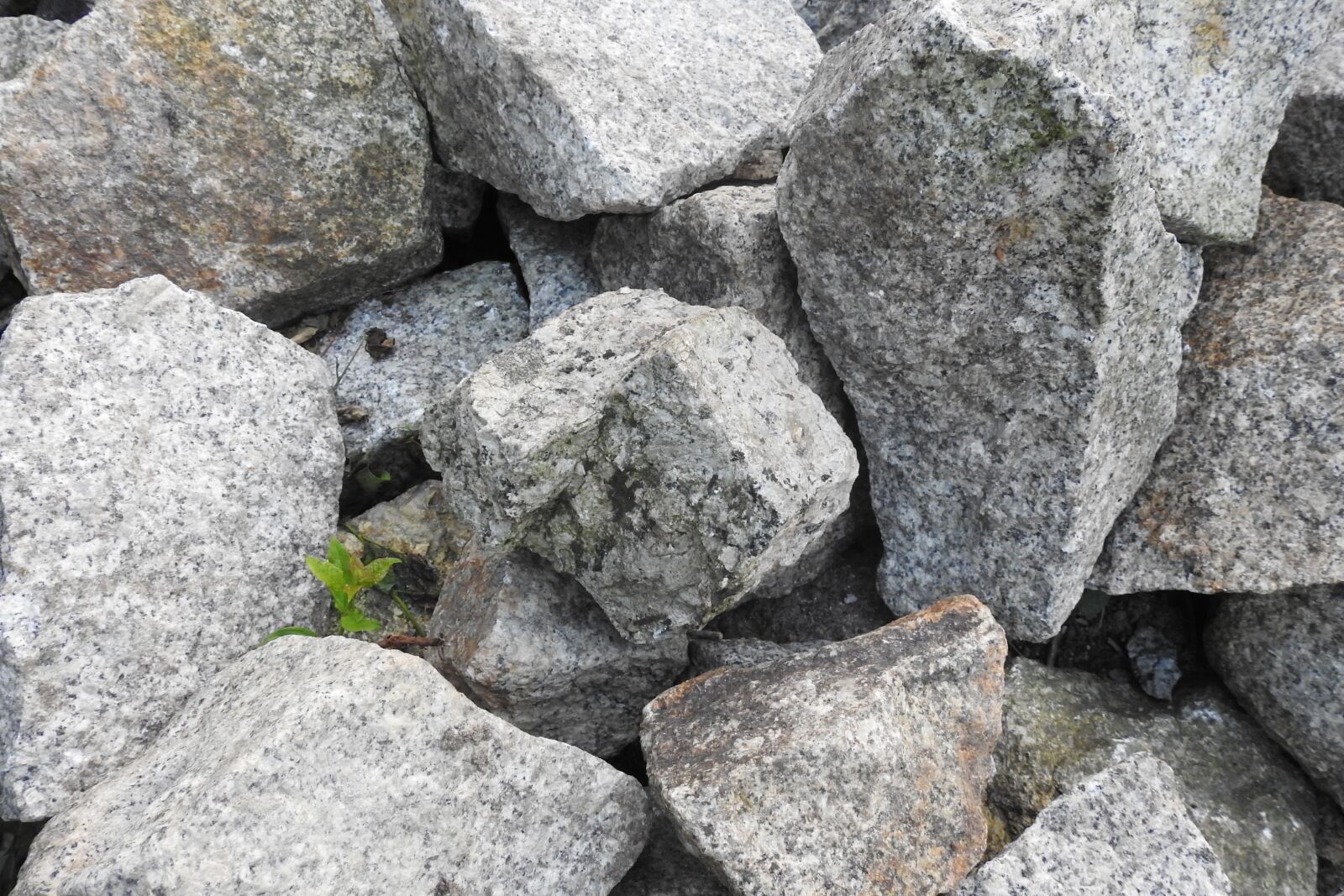 Nikon Coolpix P900 sample photo. The stones, pavers, heap photography