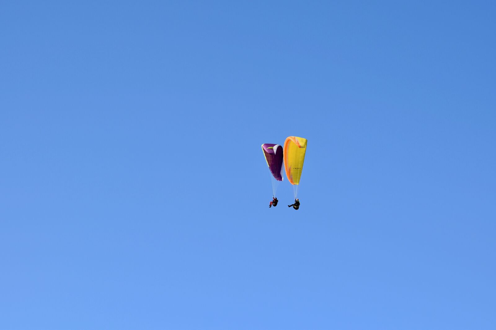 Nikon D5600 sample photo. Paragliding, paraglider, paragliders photography