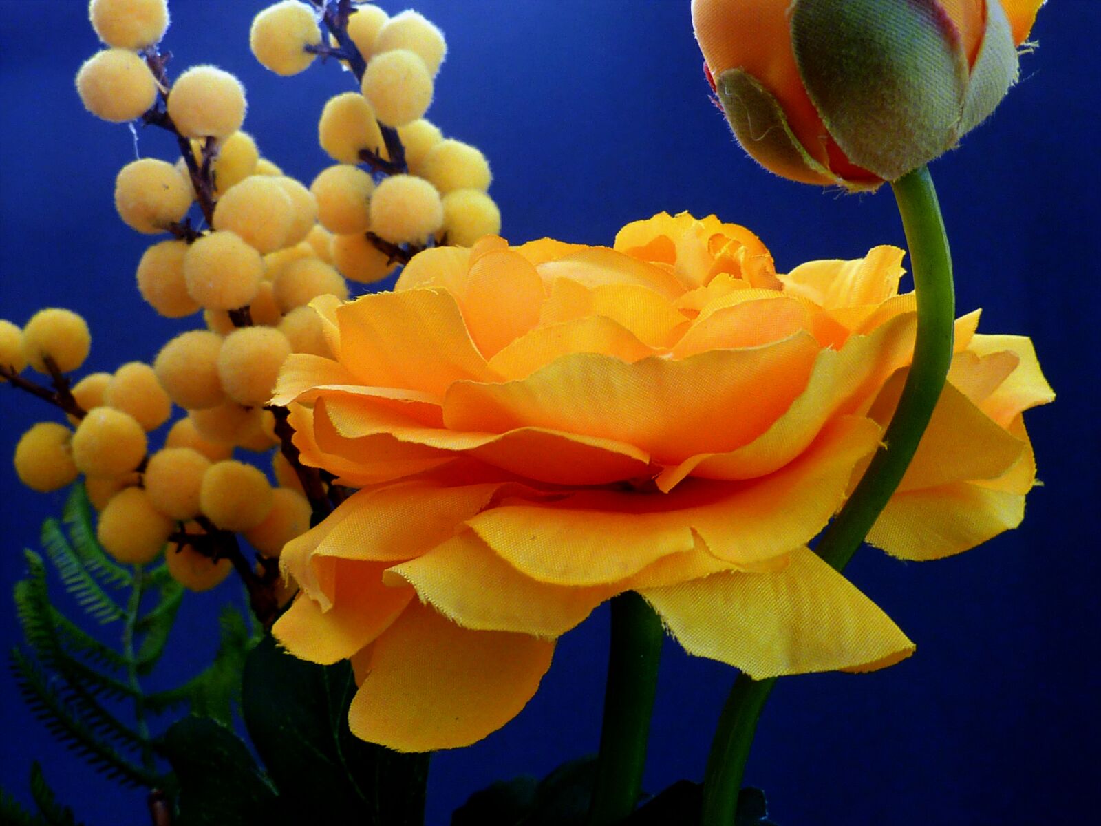 Panasonic DMC-TZ7 sample photo. Artificial flowers, ranunculus, yellow photography