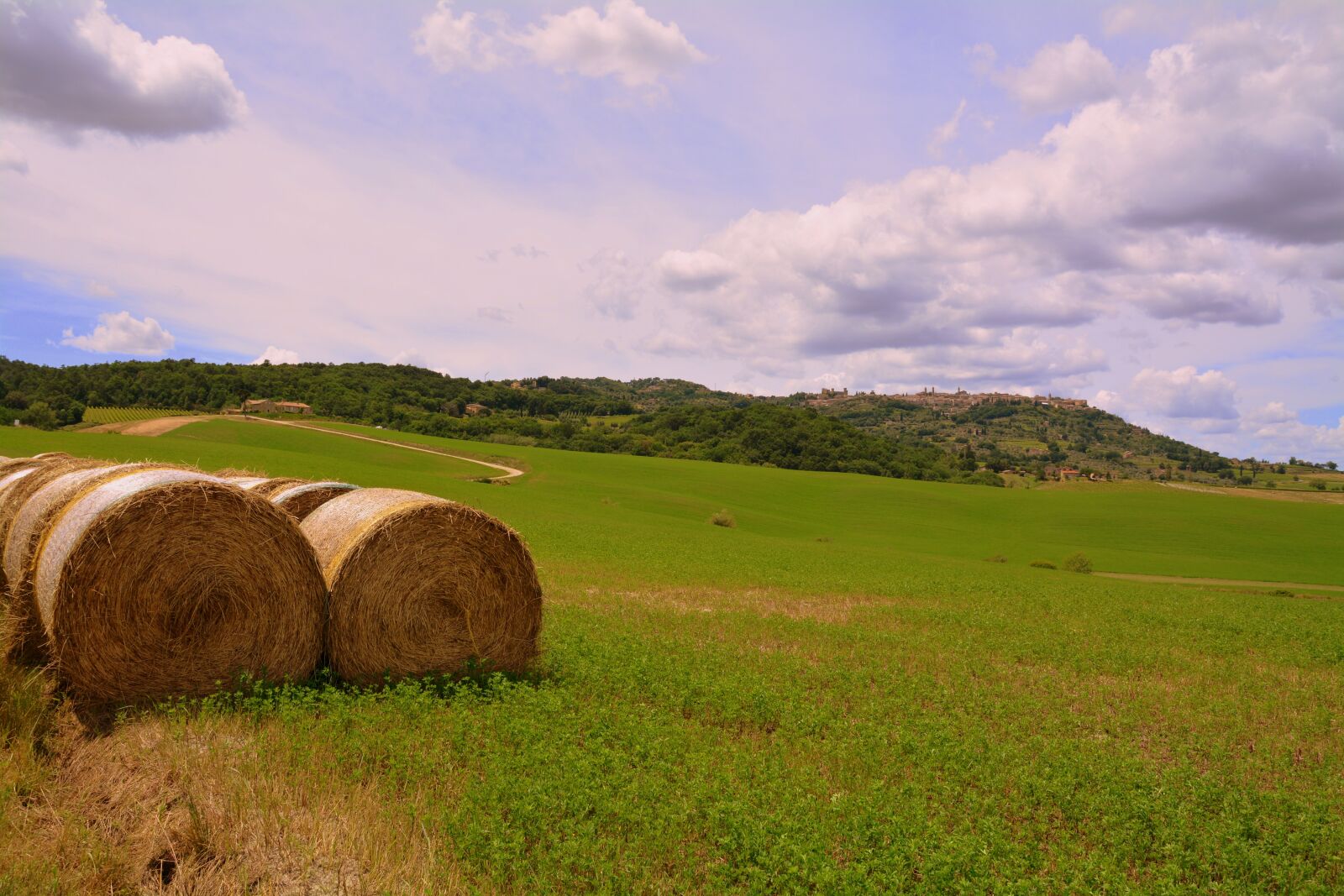 Nikon D7100 sample photo. Agriculture, field, wheat photography