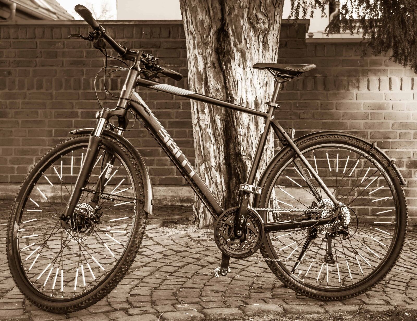 Nikon D3300 sample photo. Mountain bike, monochrome, wheel photography