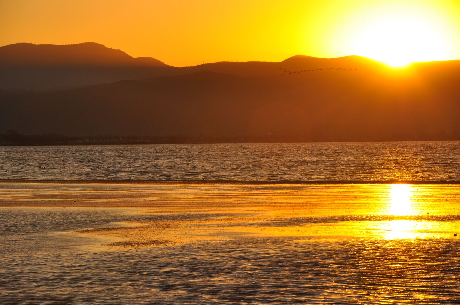 Nikon D90 sample photo. China, lijiang, pull the photography
