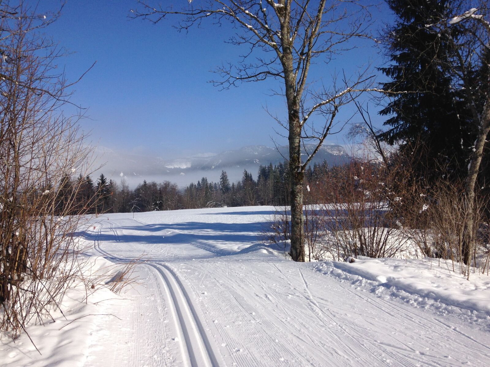 iPhone 5c back camera 4.12mm f/2.4 sample photo. Cross country skiing, trail photography