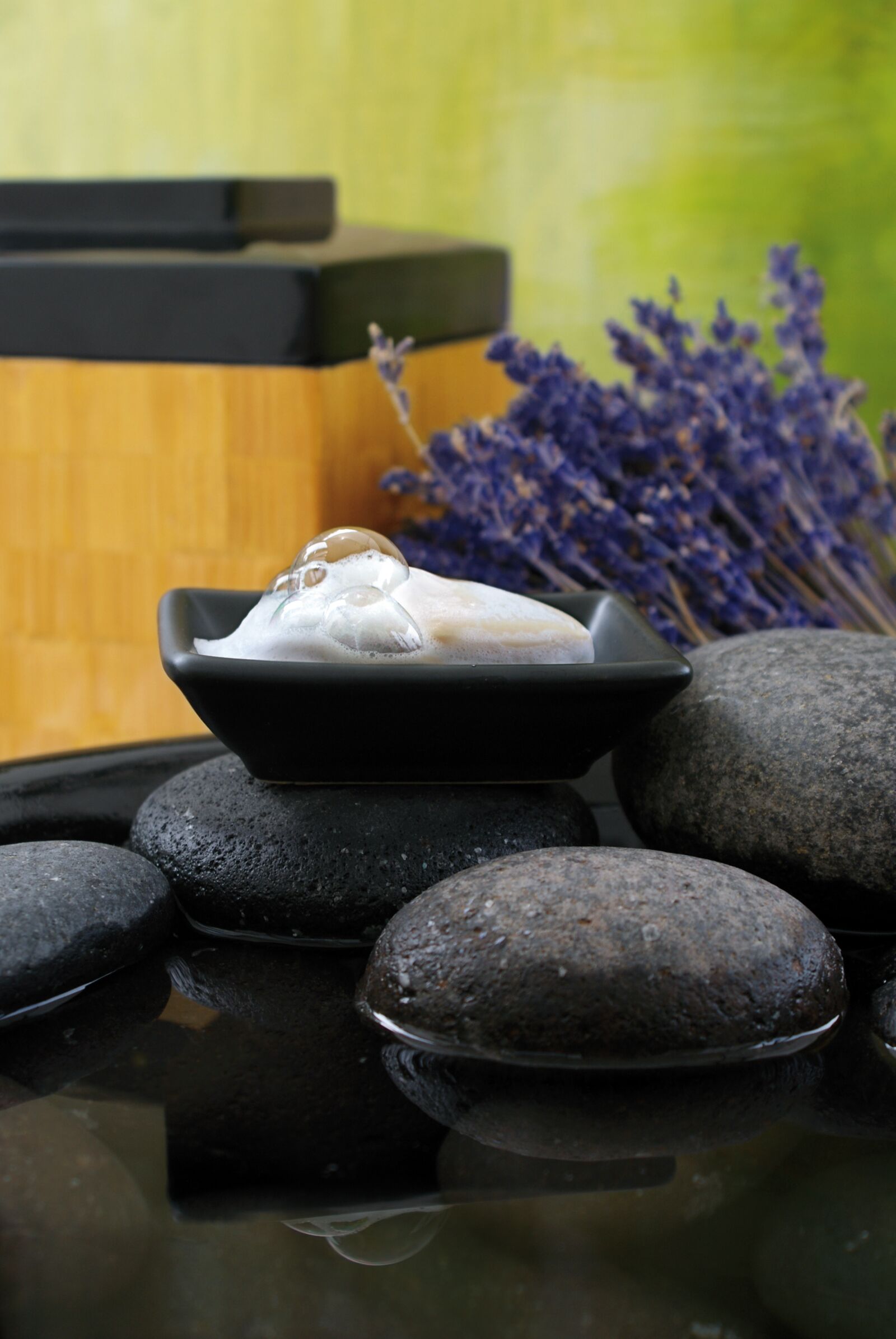 Sony Alpha DSLR-A300 sample photo. Soap, soap scum, body photography