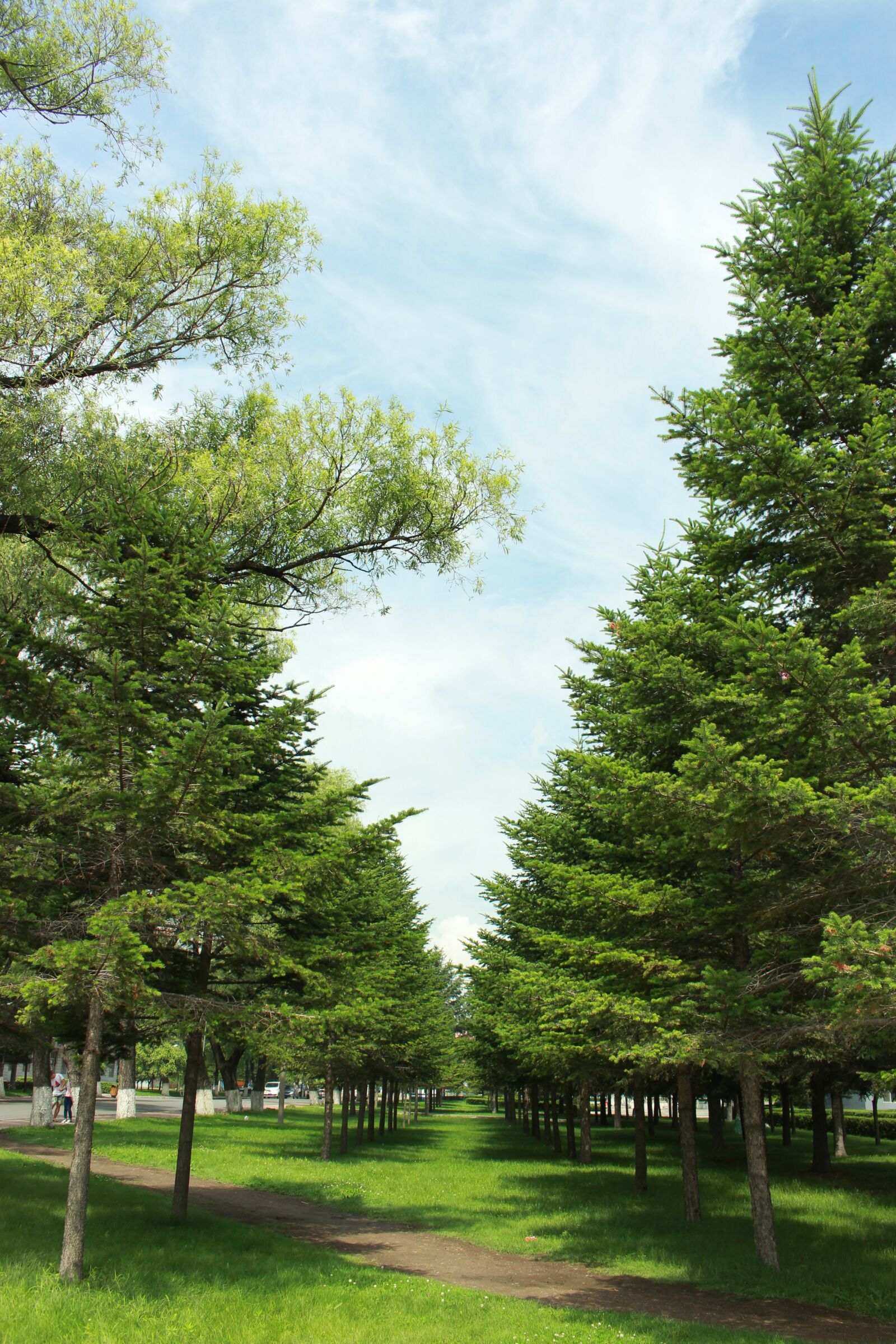 Canon EOS 700D (EOS Rebel T5i / EOS Kiss X7i) sample photo. School, senior year, the photography