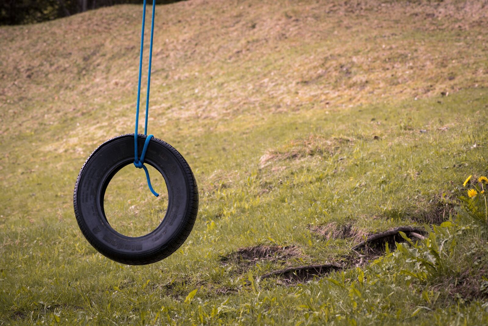 Nikon D750 sample photo. Auto tires, swing, tire photography