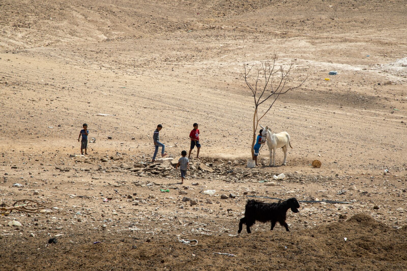 Canon EOS 5D Mark IV + Canon EF 24-105mm F4L IS USM sample photo. Nomads, nomadic lifestyle, bedouin photography